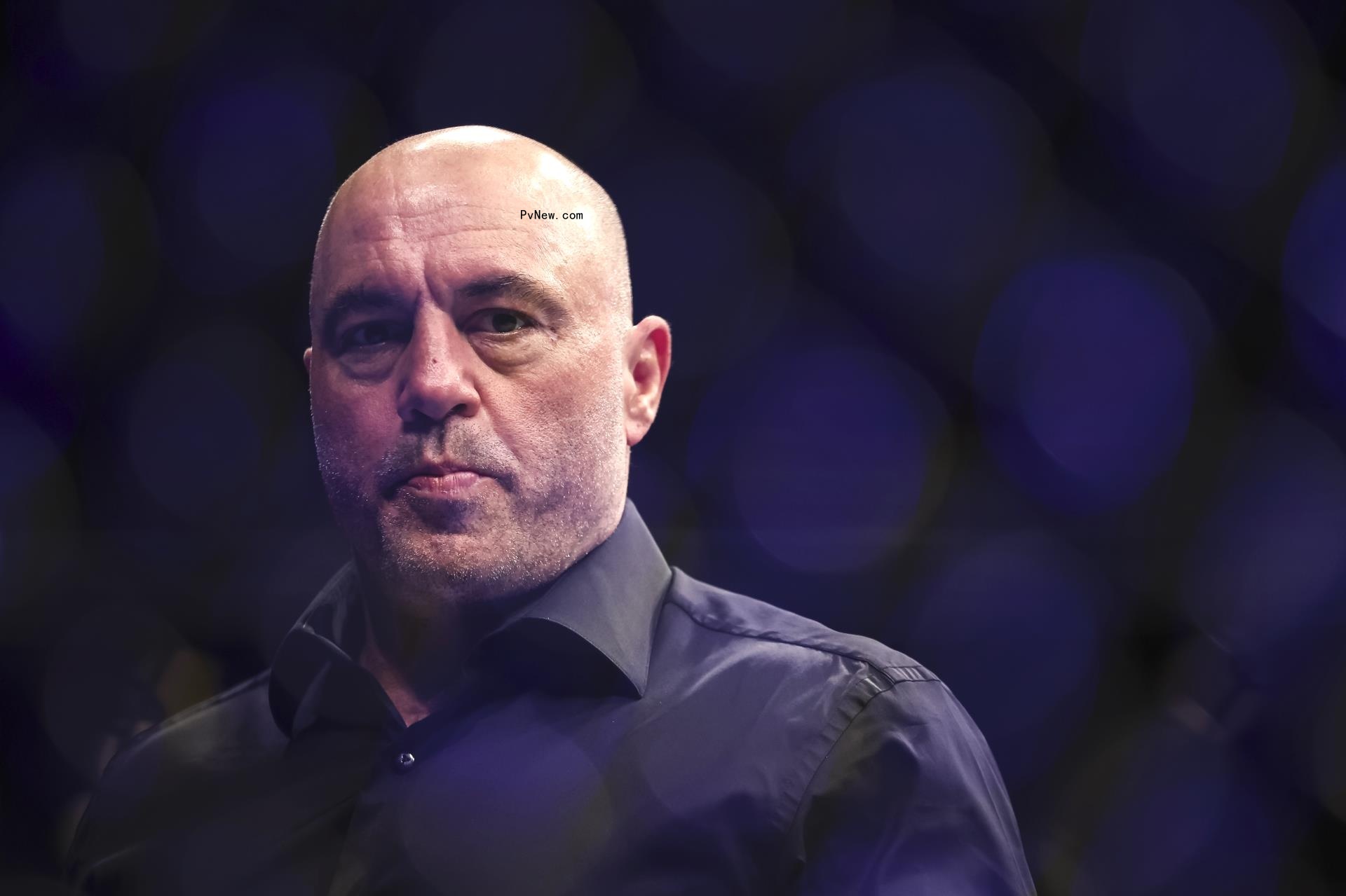 Joe Rogan Fights Critics Who Claim He’s a Republican, Defends Gay Marriage: ‘I’m a Bleeding Heart Liberal’