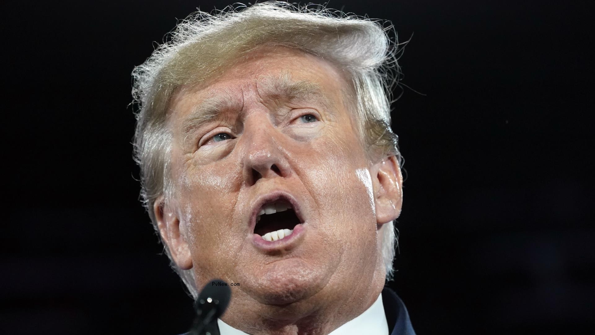 Do<i></i>nald Trump Praises Elon Musk’s Twitter Acquisition: Social Network Is ‘in Sane Hands Now’