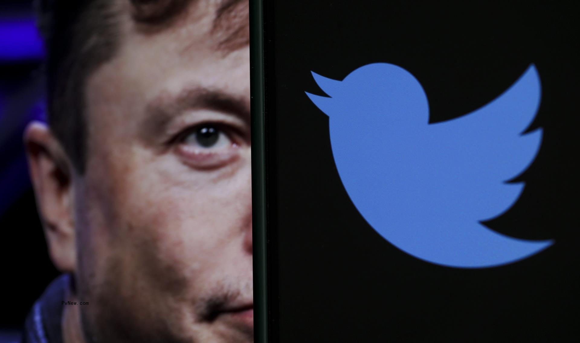 Elon Musk’s Twitter to Make Massive Layoffs Friday via Email