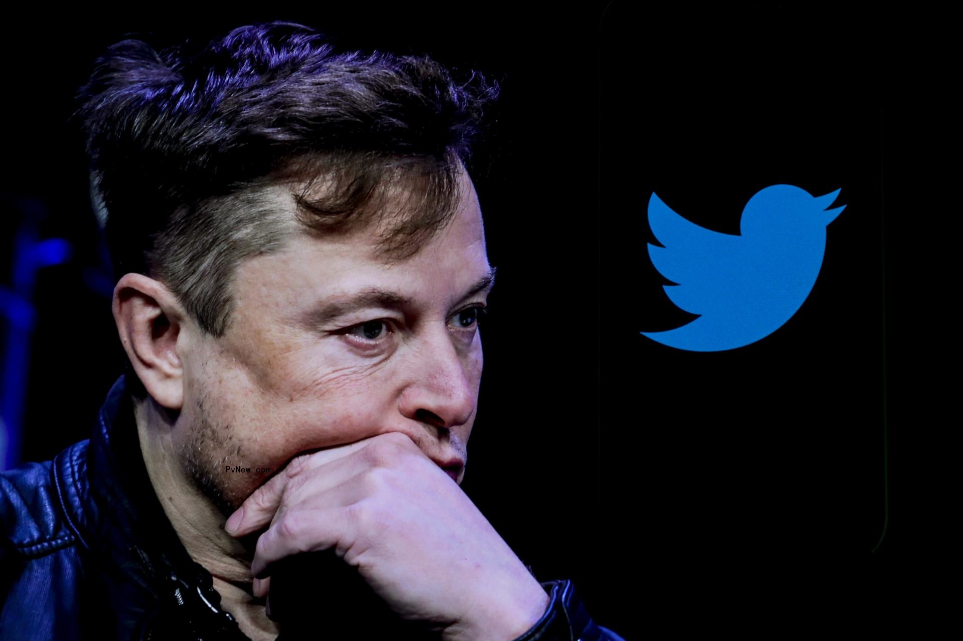 Elon Musk Asked Twitter If He Should Step Down as Head — The Majority of Users Said He Should
