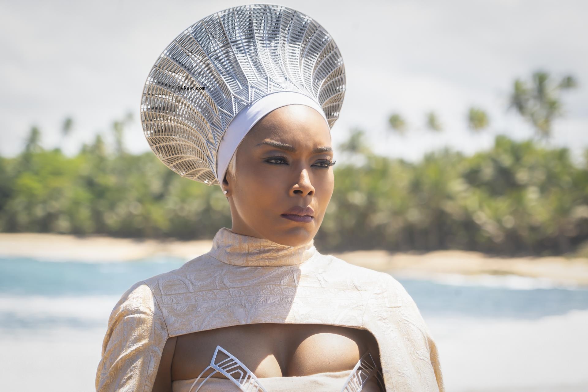 ‘Black Panther: Wakanda Forever’ Is Most-Streamed Marvel Movie Premiere on Disney+
