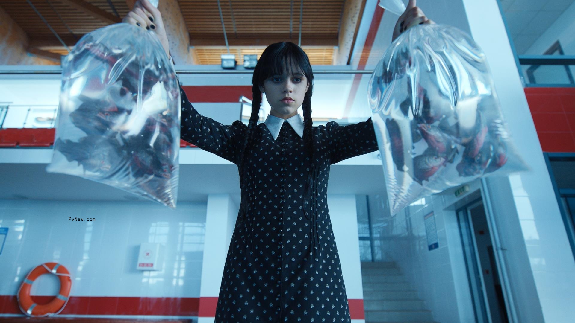 Netflix Co<i></i>ntent Spending Declined 5% in 2022