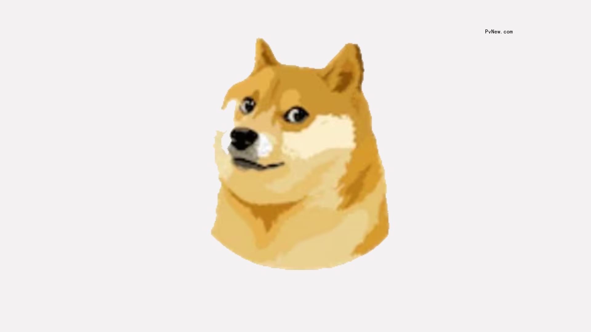 Why Did Elon Musk Change the Twitter Logo to the Dogecoin Cryptocurrency Meme?