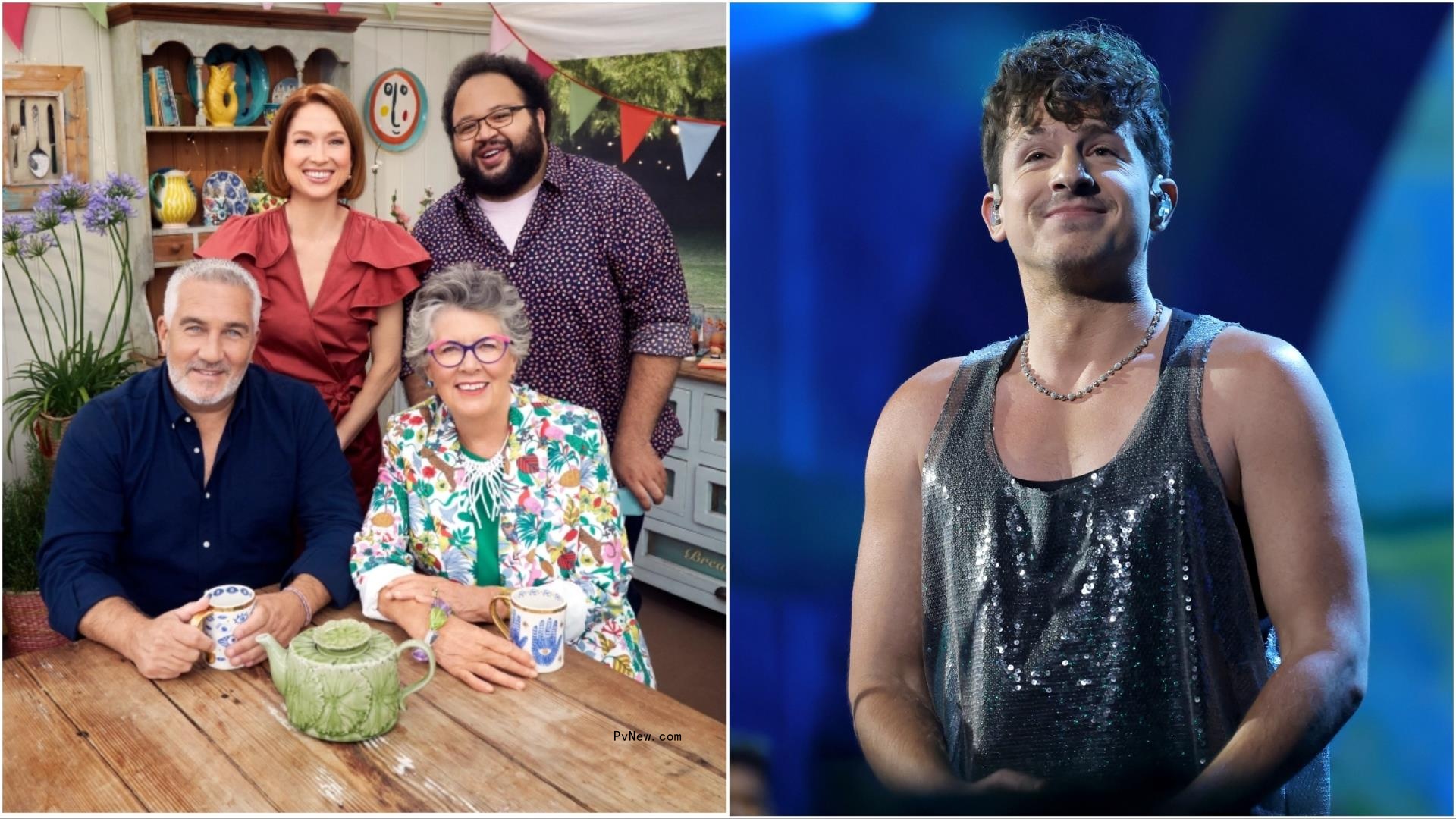 Roku Leans Into Uns<i></i>cripted Amid Writers Strike: Renews ‘Great American Baking Show,’ Orders Charlie Puth Comedy