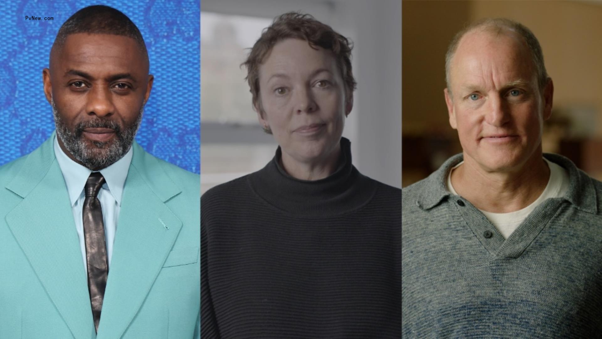 Idris Elba, Olivia Colman, Woody Harrelson Help King Charles Launch New YouTube Channel