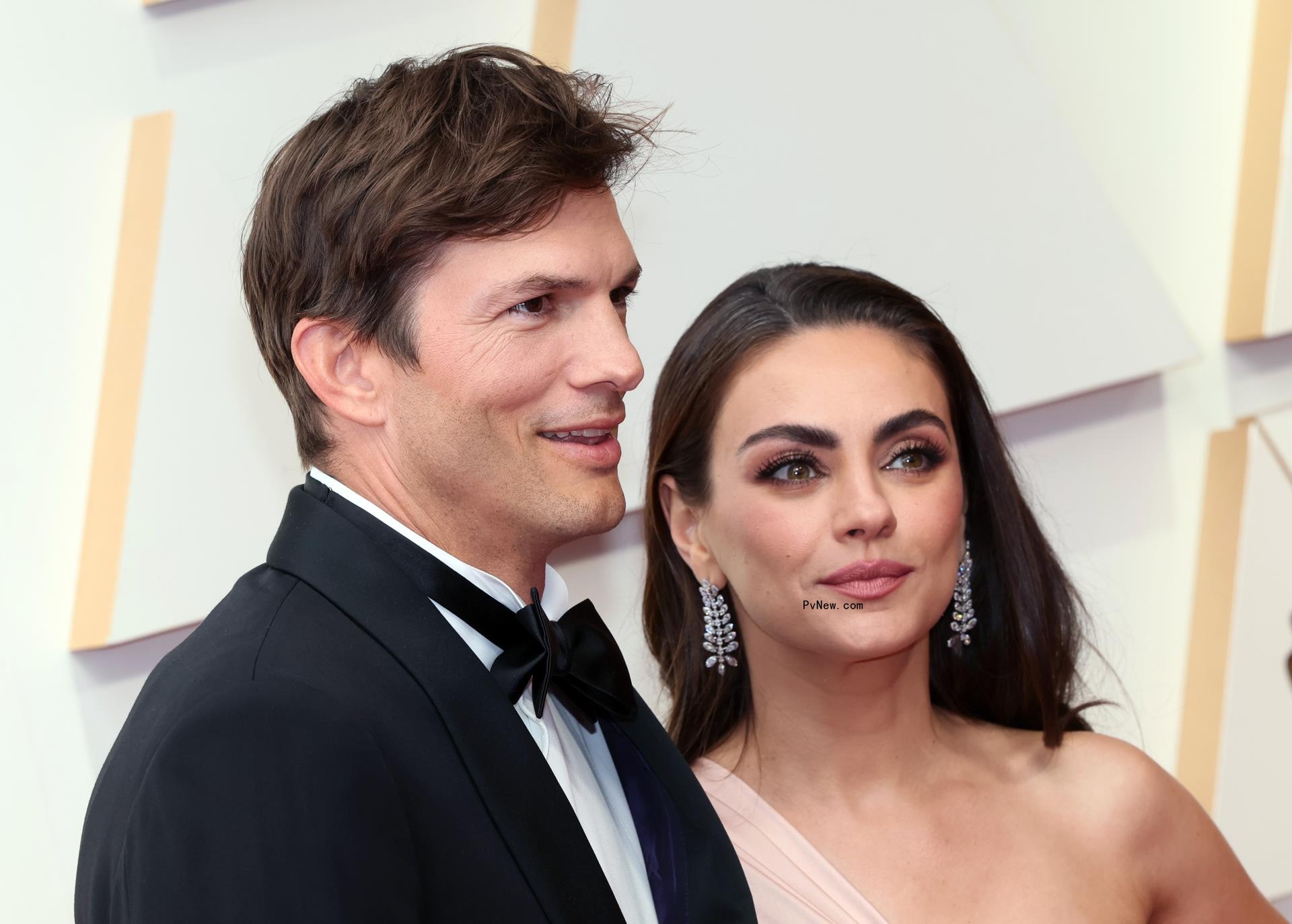 Producers of ‘Sto<i></i>ner Cats’ Series, With Cast Including Ashton Kutcher and Mila Kunis, Charged by SEC With Illegal Sale of $8 Million Worth of NFTs