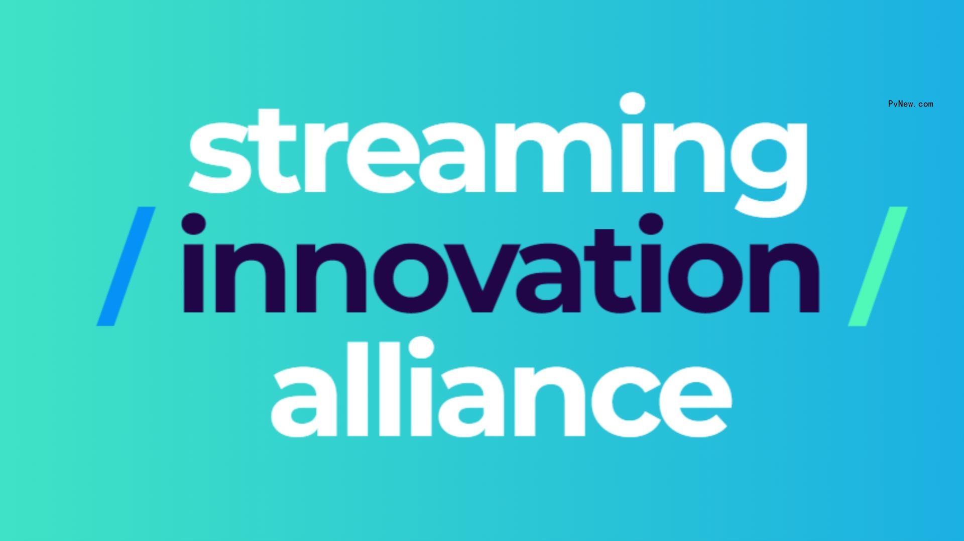 Netflix, Disney, Max and More Team to Form Streaming Innovation Alliance Lobbying Group