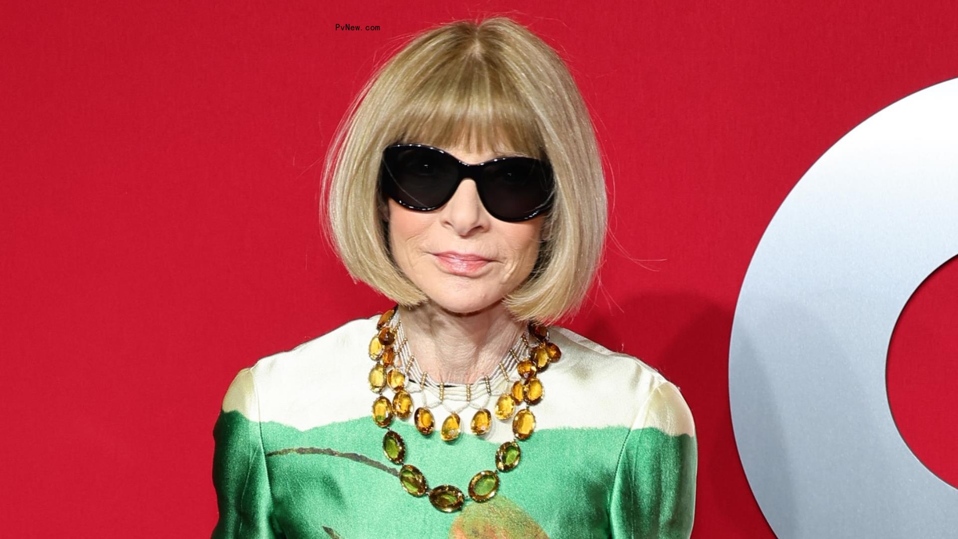 Anna Wintour Kept Her Sunglasses On the Entire Time She Was Telling Pitchfork Staffers They Were Getting Laid Off, Writer Says