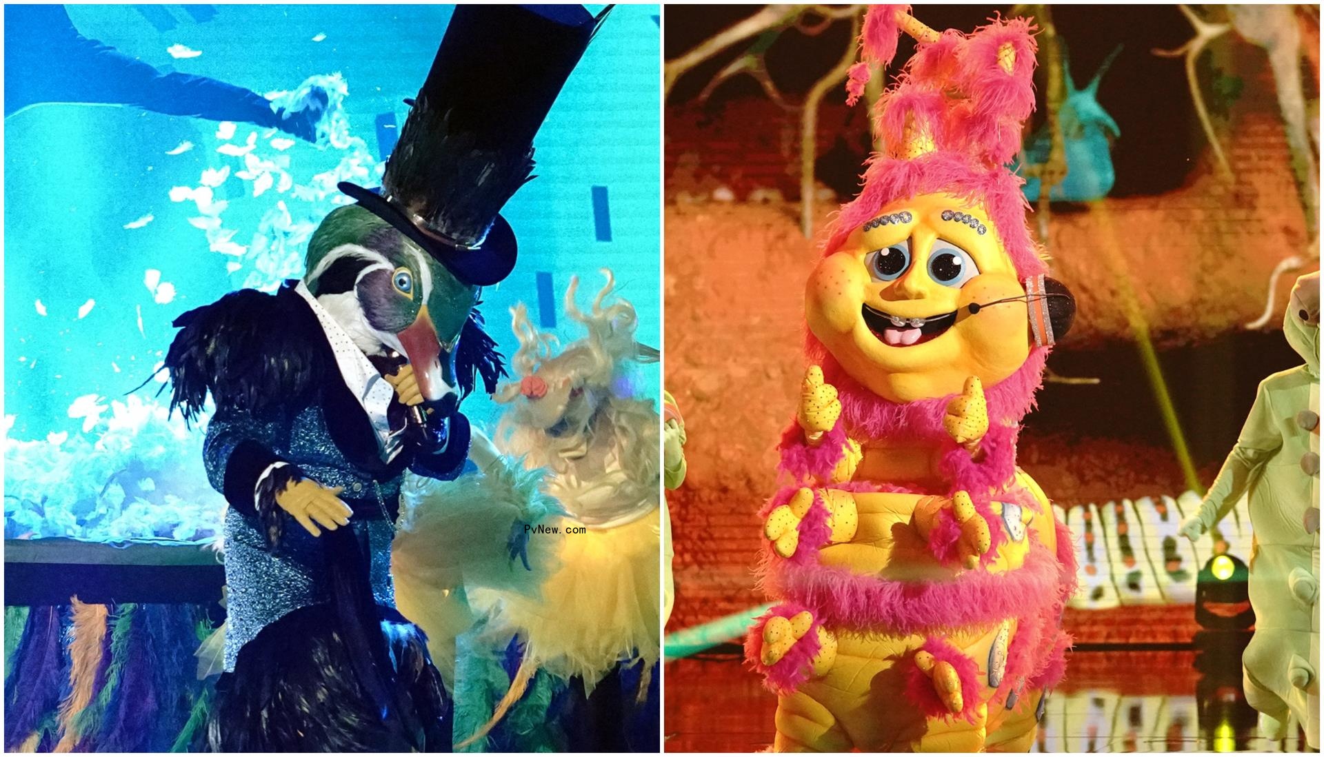 ‘The Masked Singer’ Reveals Identities of the Mallard and Caterpillar: Here Are the Stars Under the Masks