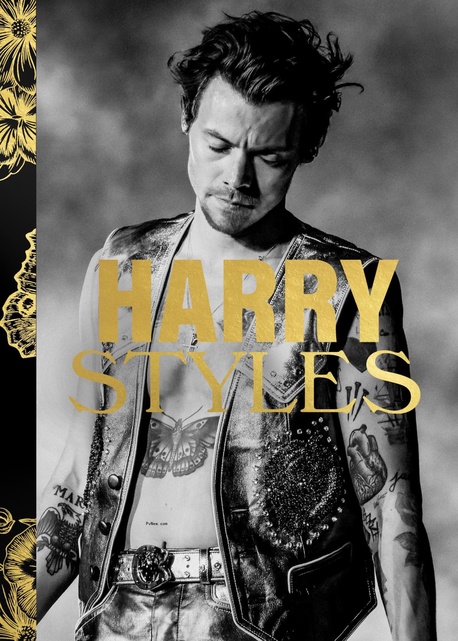 The Harry Styles Photo Book Is Finally Here — And It’s Already a Bestseller on Amazon