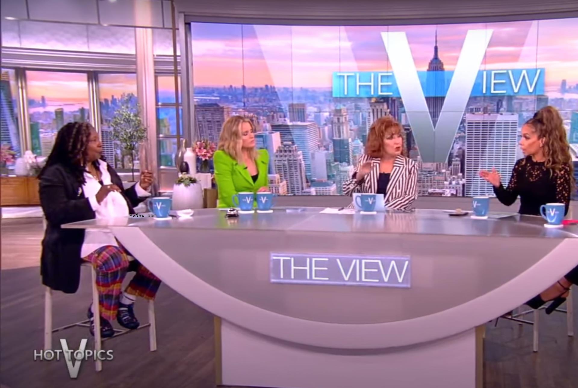 The View hosts