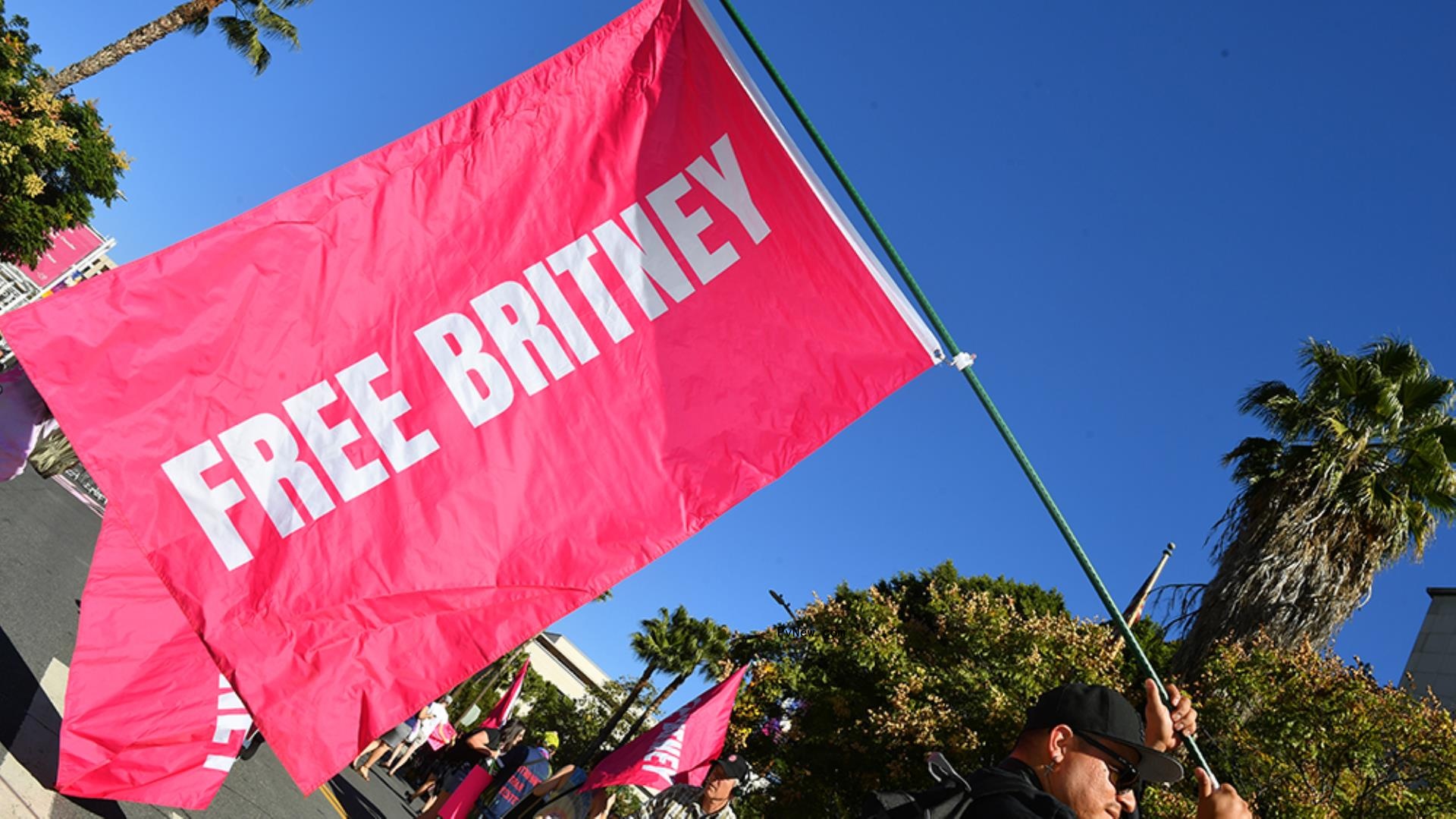 Britney Spears Granted Power by Judge to Execute docu<i></i>ments for First Time in 13 Years