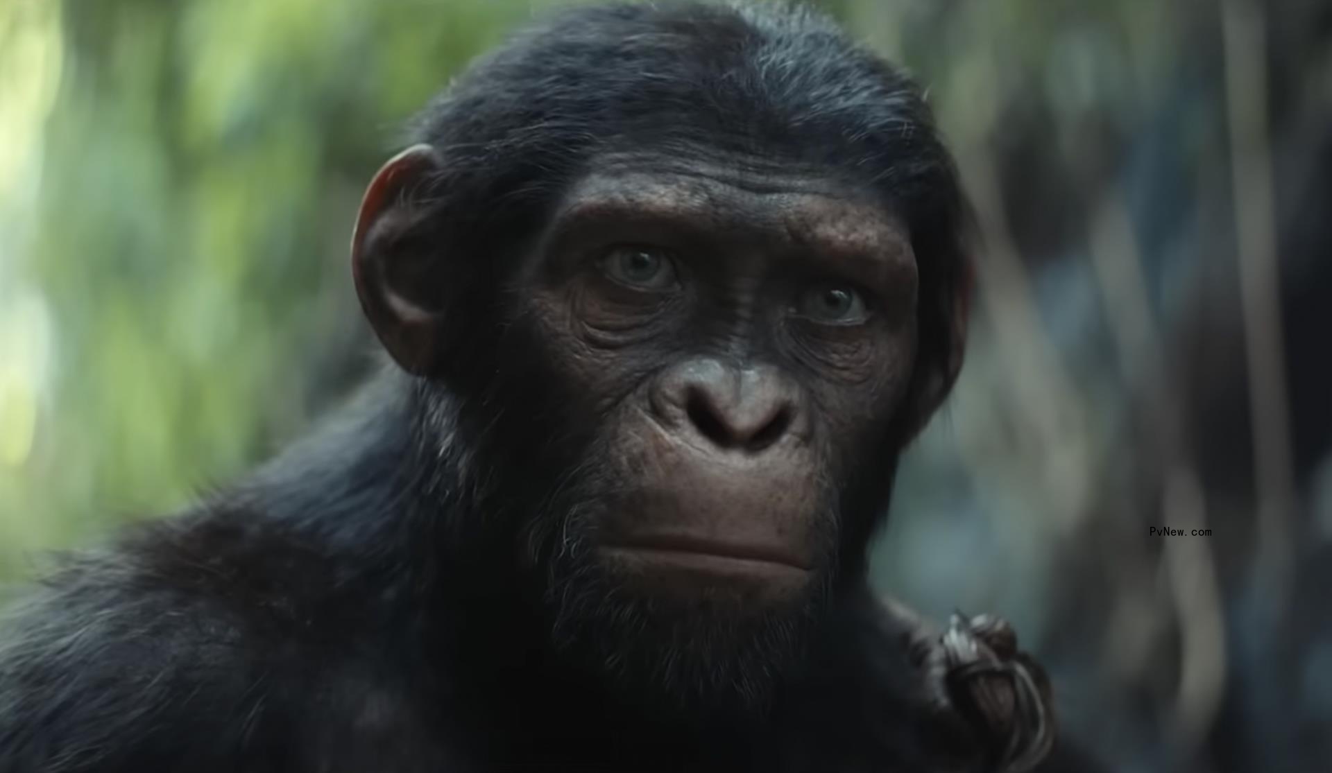 ‘Kingdom of the Planet of the Apes’ Marketing Launches to 100 Million Viewers With First Trailer and Tease