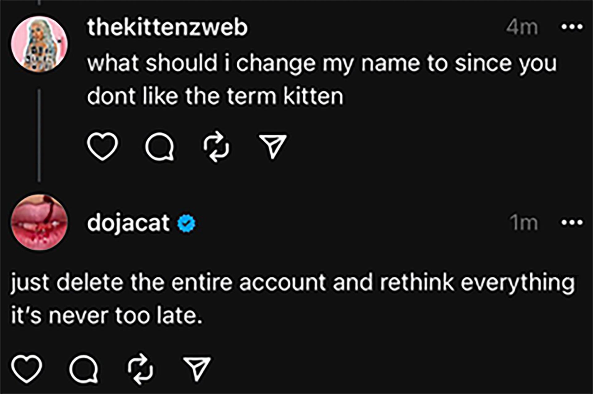 Doja Cat tweet co<i></i>nvo with fan