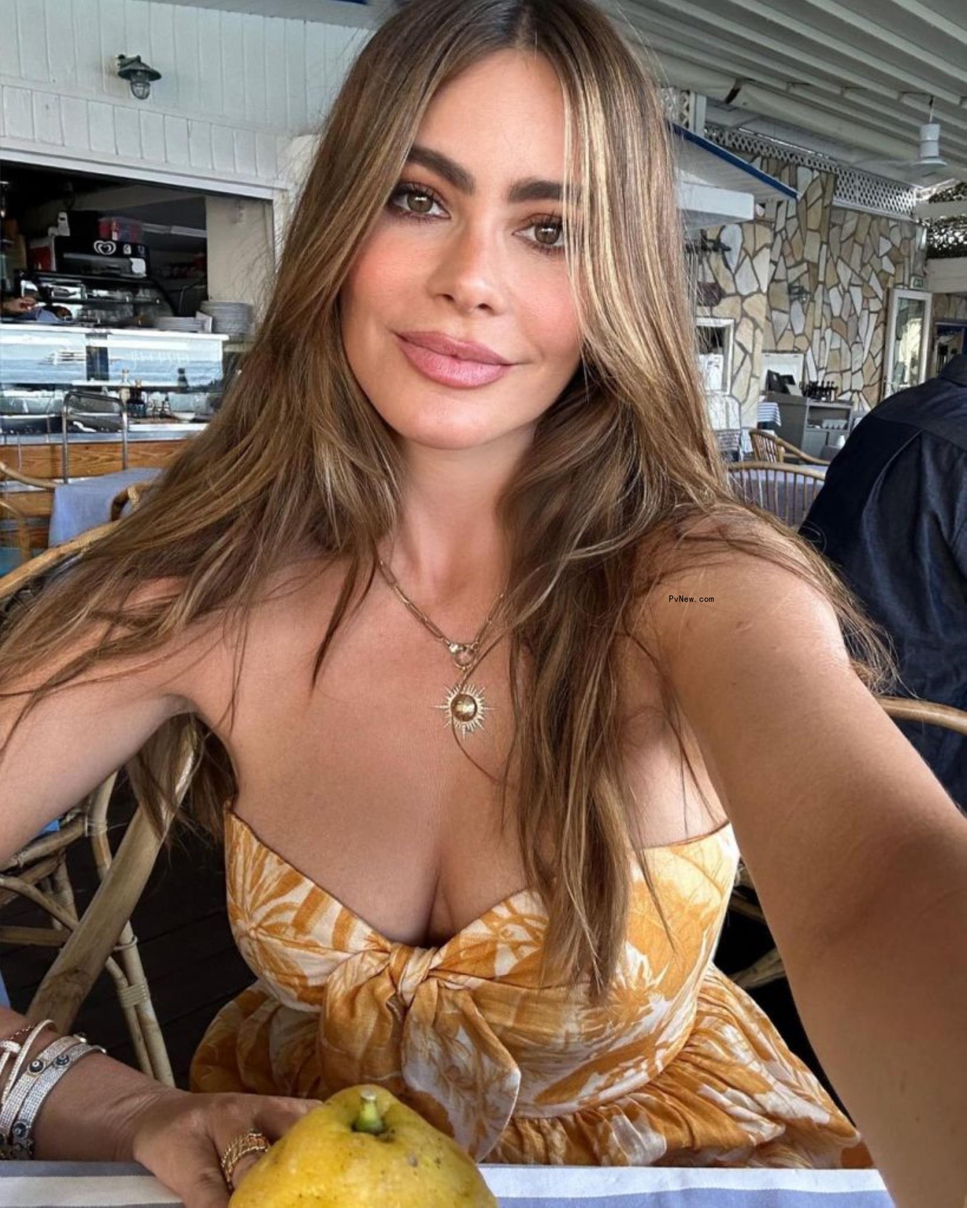 Sofía Vergara