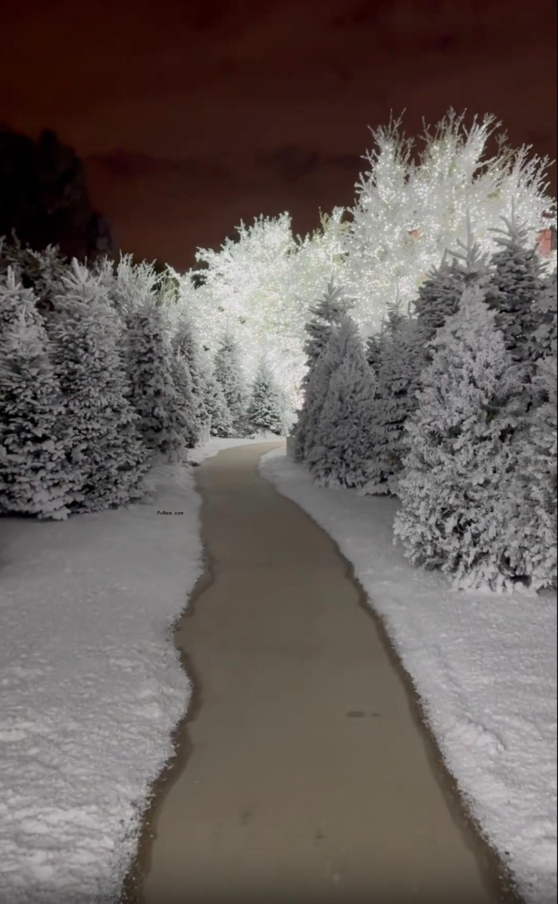 Christmas trees at Kim Kardashian's house.