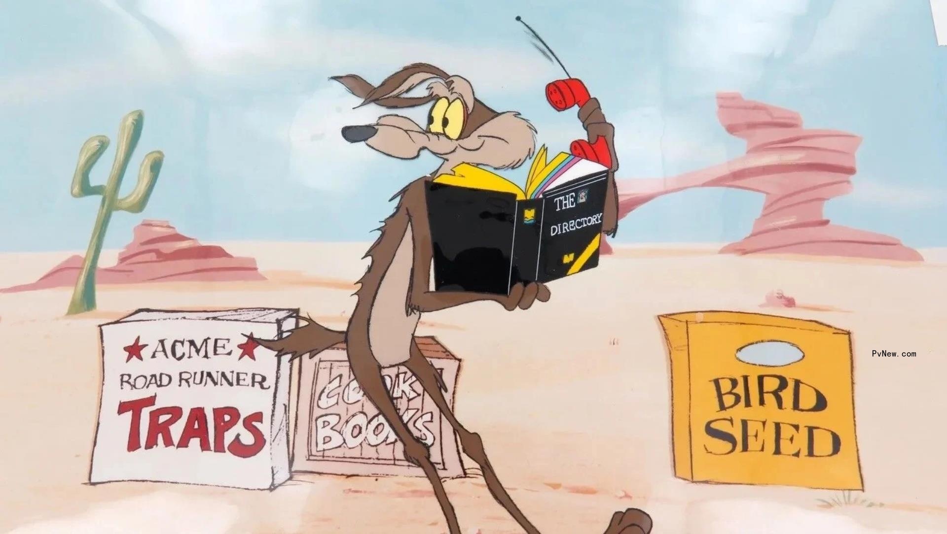 Rep. Joaquin Castro Calls Warner Bros. Discovery ‘Predatory’ for Shelving ‘Coyote vs. Acme,’ Asks Justice Dept. to ‘Review This Conduct’