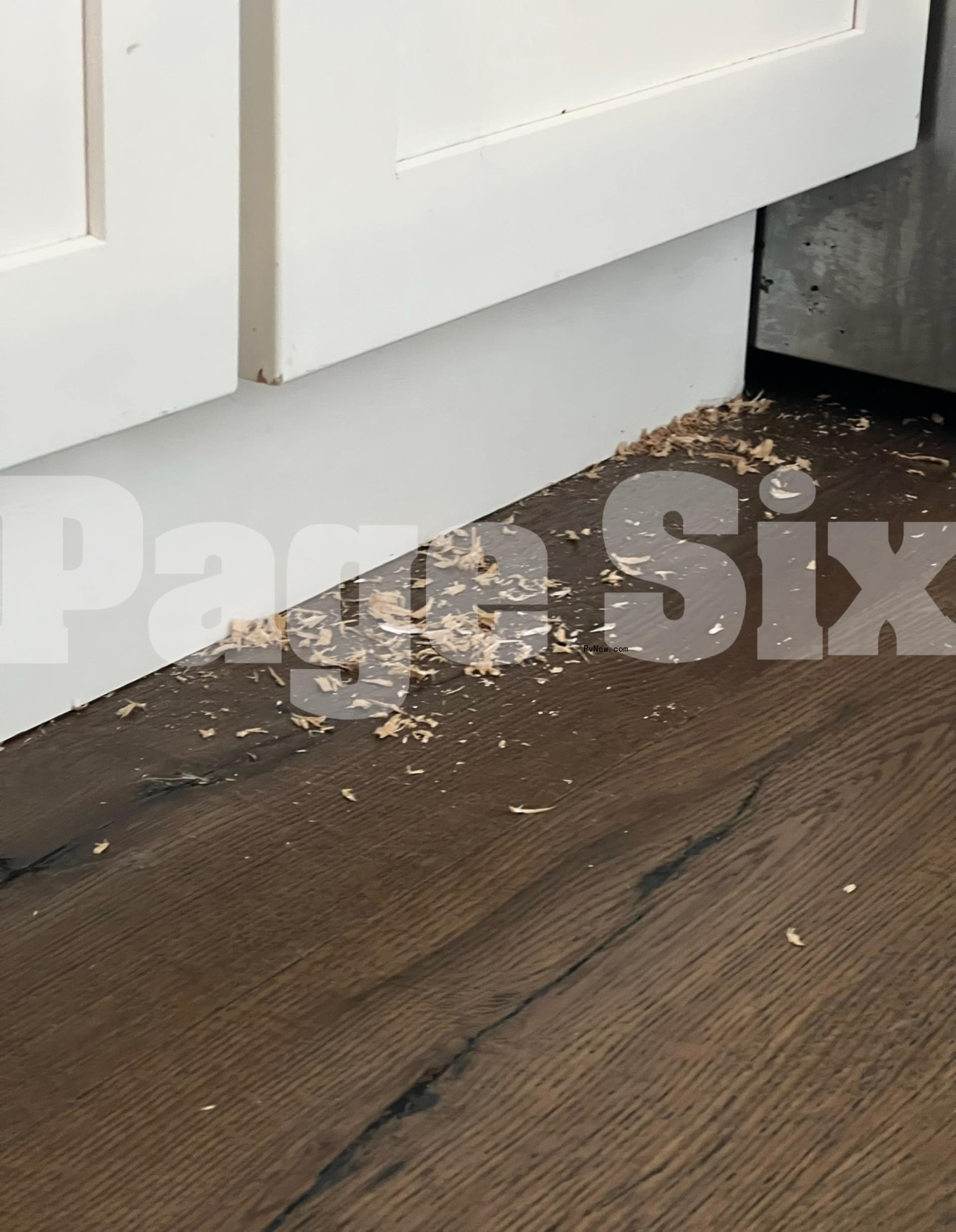 Shots of Erin Lichy's apartment.