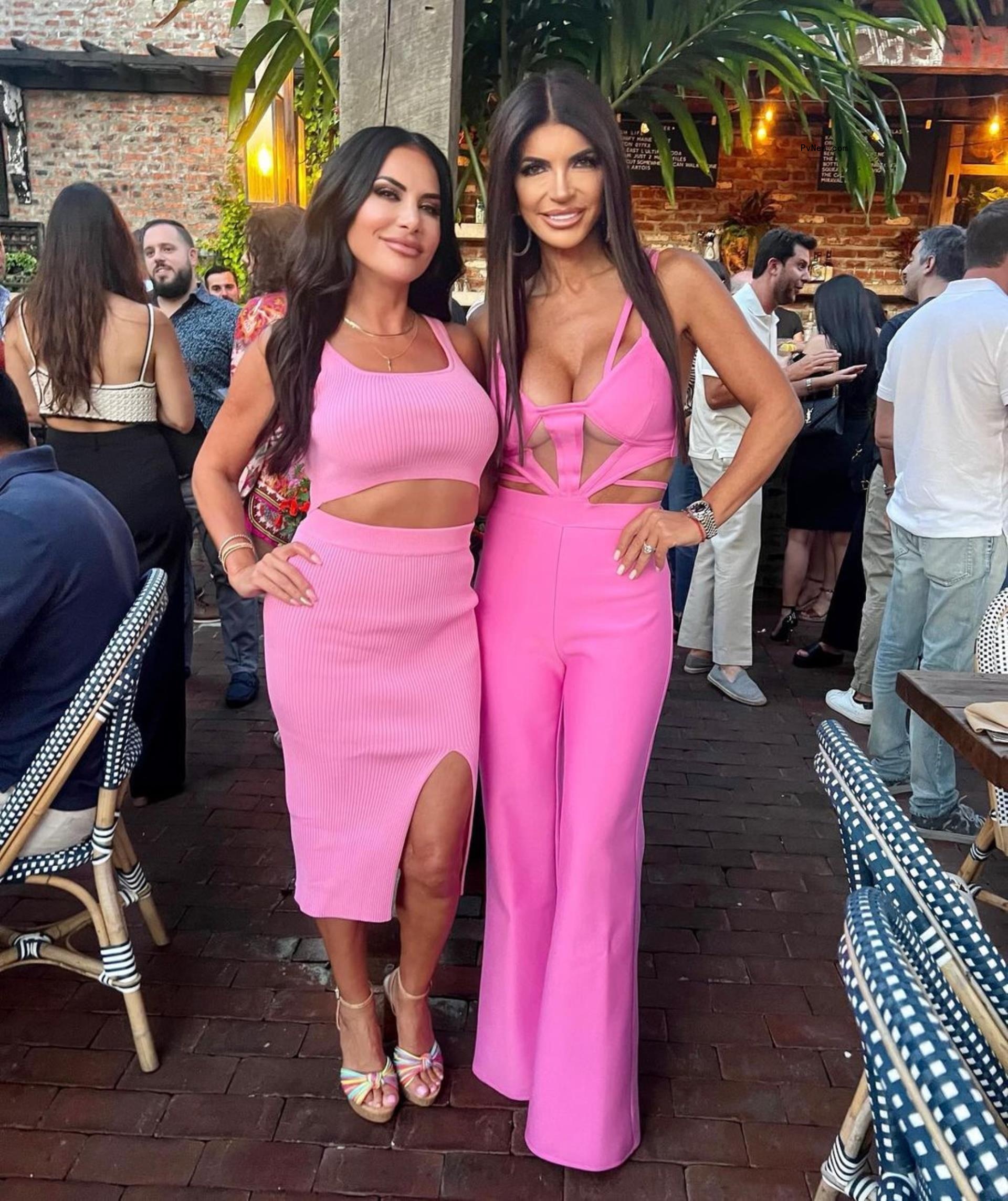 Teresa Giudice and a friend posing together