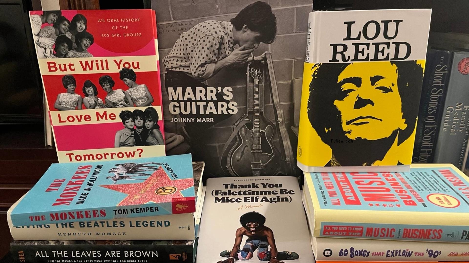 The Best Music Books of 2023: Lou Reed, Britney Spears, Sly Stone, Girl Groups and More