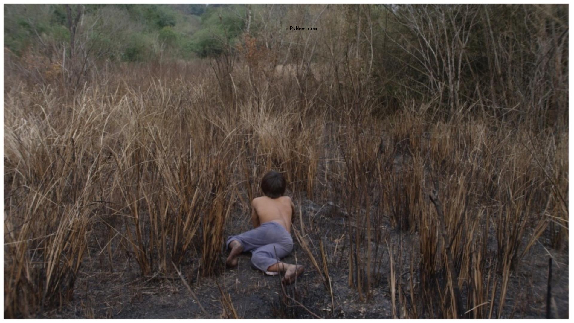 Shoghakat Vardanyan’s ‘1489,’ a<i></i>bout Disappearance of Director’s Brother, Wins Best Film at IDFA