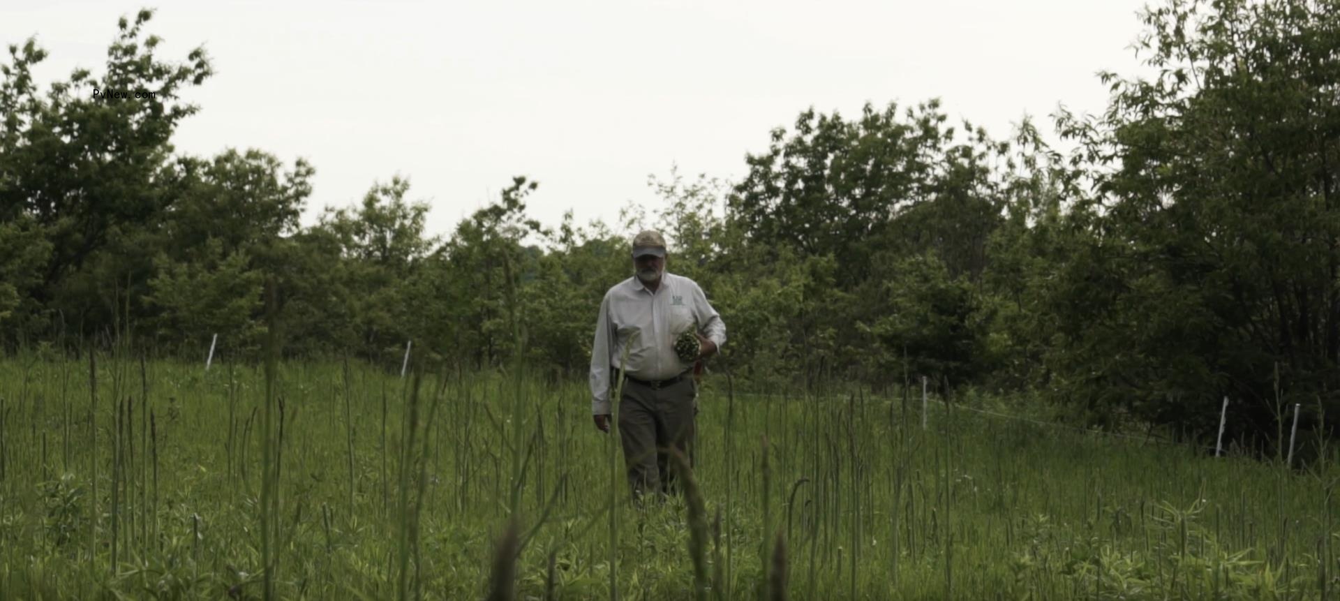 SFO Entertainment to Release docu<i></i>mentaries ‘Feeding Tomorrow’ and ‘Killing Me Softly With His Songs’ With Gravitas Ventures