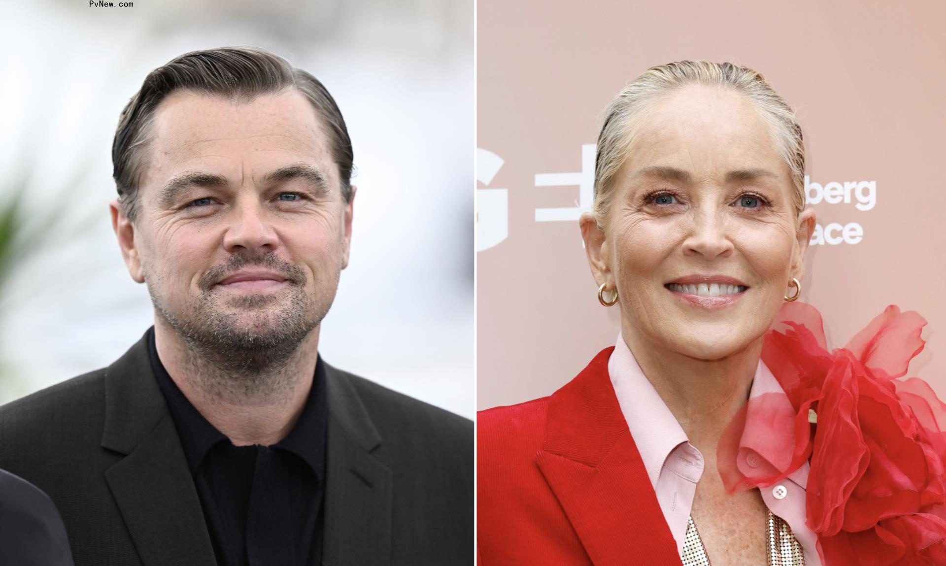 Sharon Stone Paid Leo<i></i>nardo DiCaprio’s Salary in 1995 When the Studio Refused to Cast Him; DiCaprio Says: ‘I Cannot Thank Her Enough’