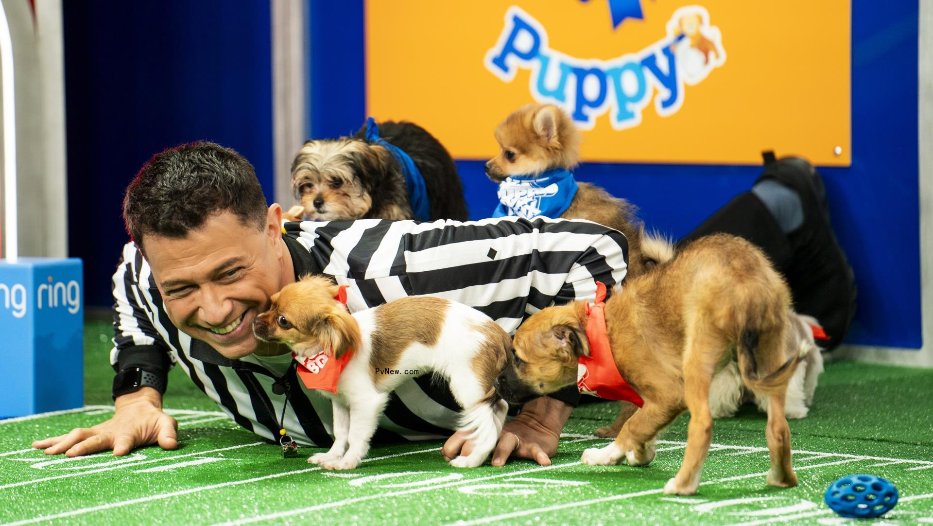 ‘Puppy Bowl’ Turns 20: What It Takes to Pull Off TV’s Cutest Match-Up