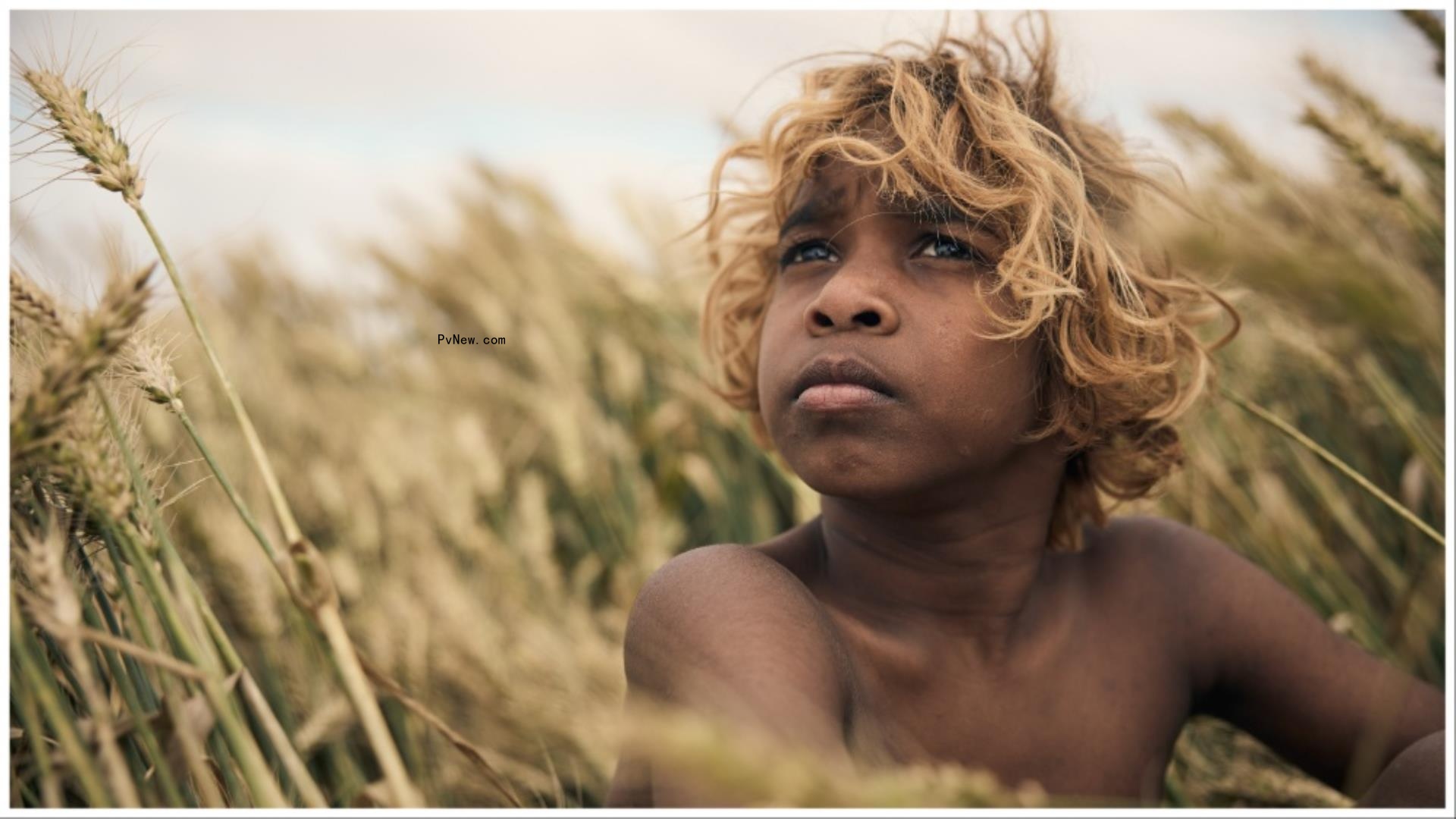 10 Key Takeaways From Camerimage Cinematography Film Festival
