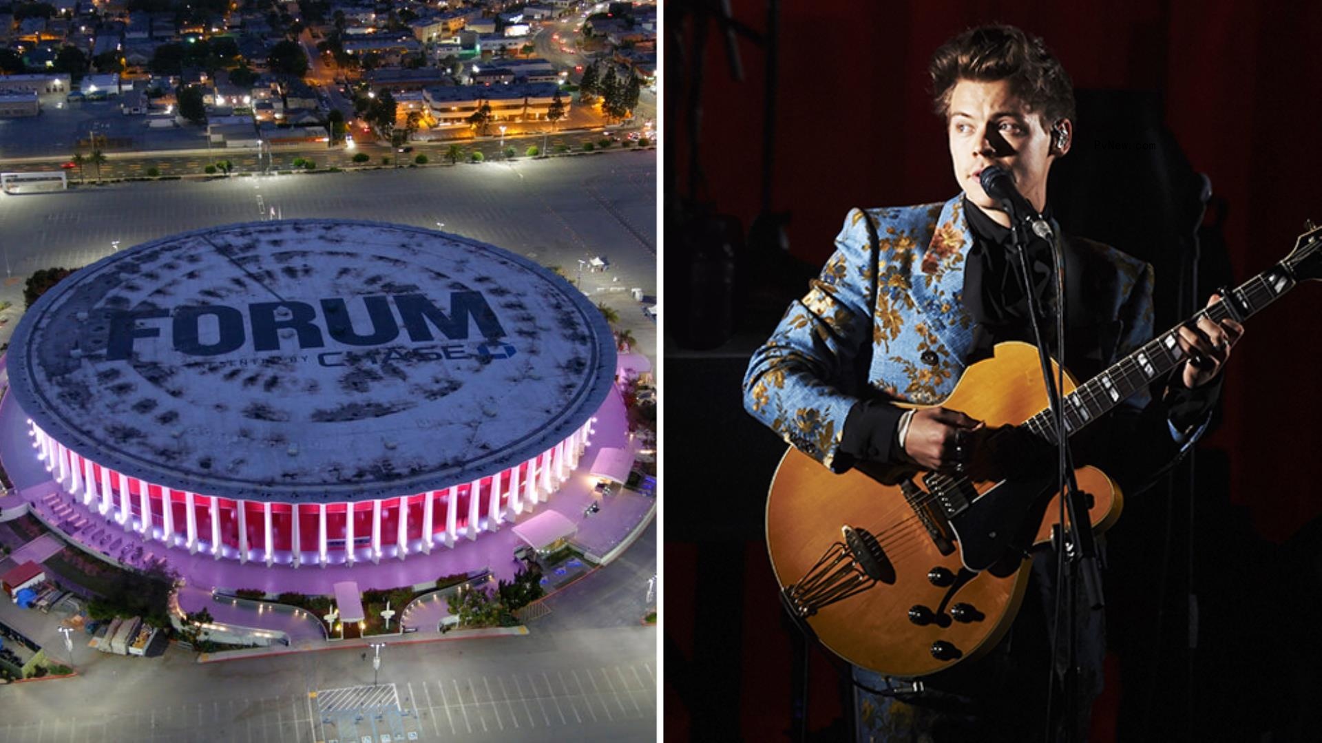 Harry Styles Fan Sues the Forum, Alleges Co<i></i>ncert Crowd Surge Resulted in Perso<i></i>nal Injury