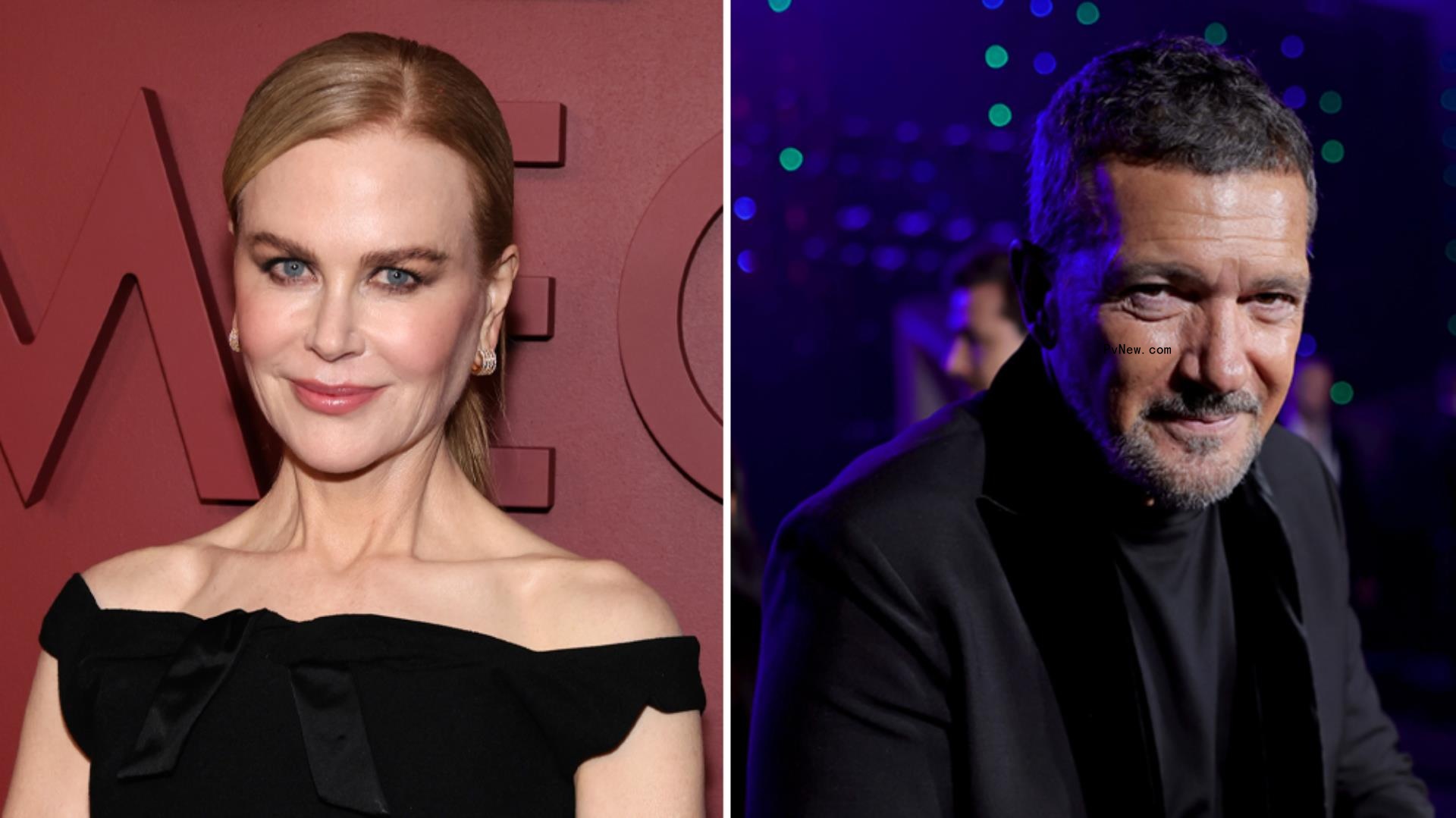 Nicole Kidman, Anto<i></i>nio Banderas Join A24’s Erotic Thriller ‘Babygirl’