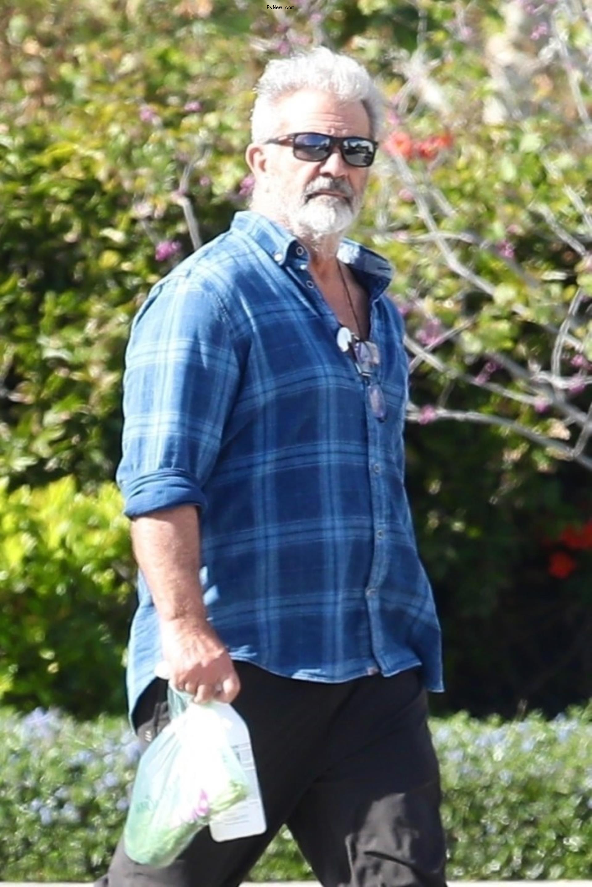 Mel Gibson 