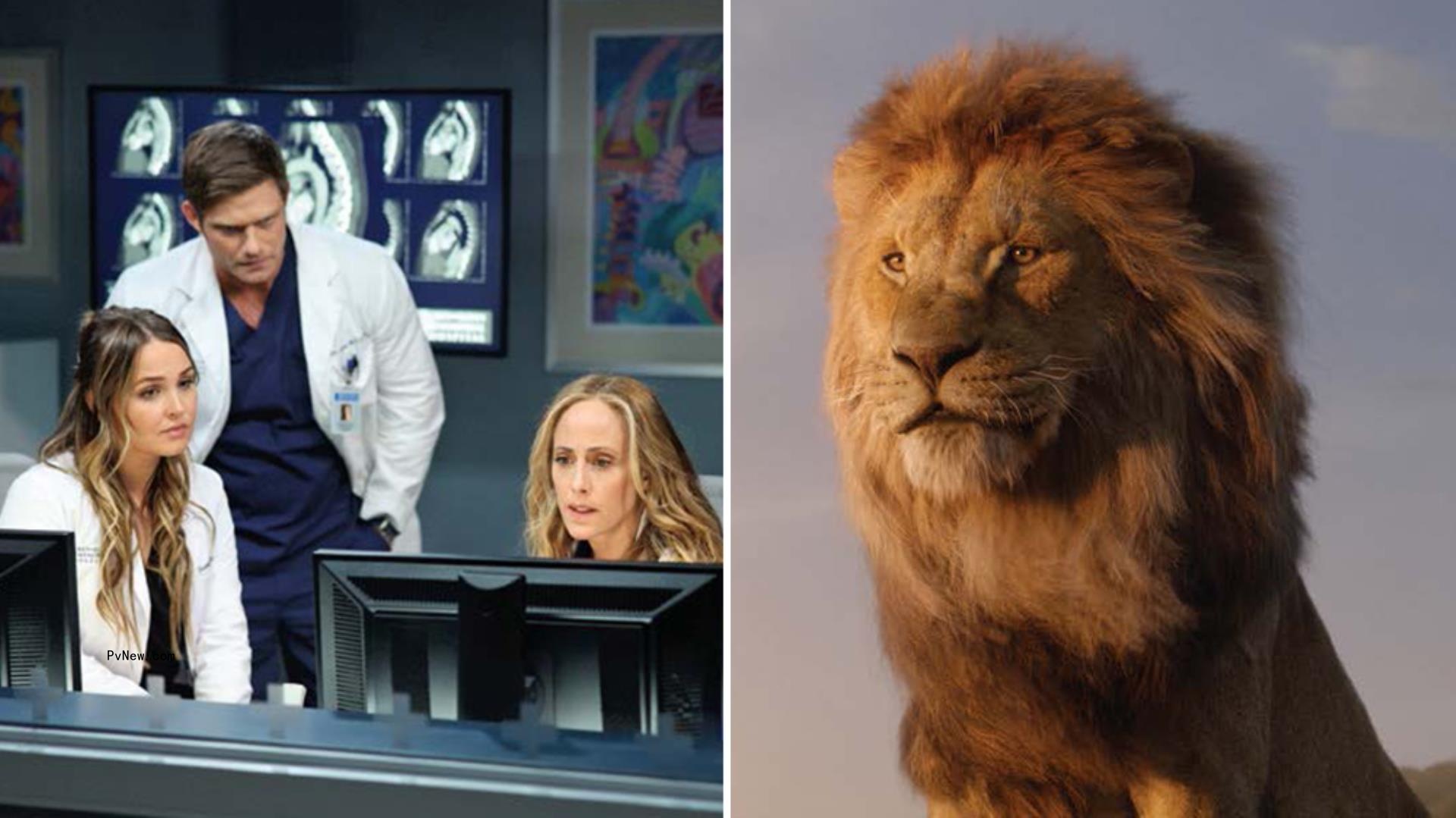 What Did We Learn? Hollywood Is Back in Biz, but Ripple Effects of Strike and Streaming Shakeout Are Just Starting