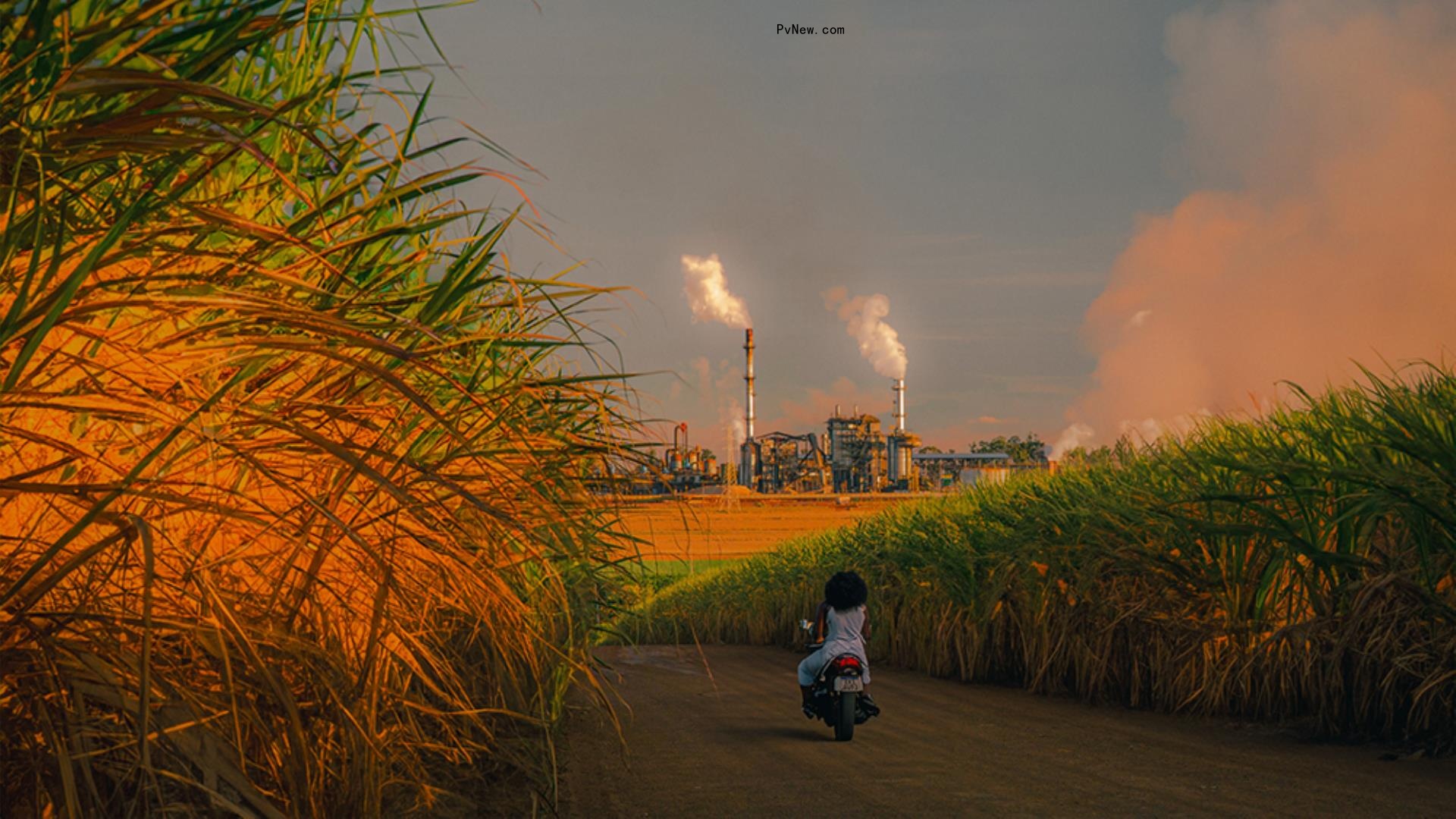 ‘Unliveable’ Directors and ‘Nardjes A.,’ ‘Initials S.G.’ Producers l<i></i>ink on ‘Burning Land,’ a Fractious Labor Relations Mystery Thriller