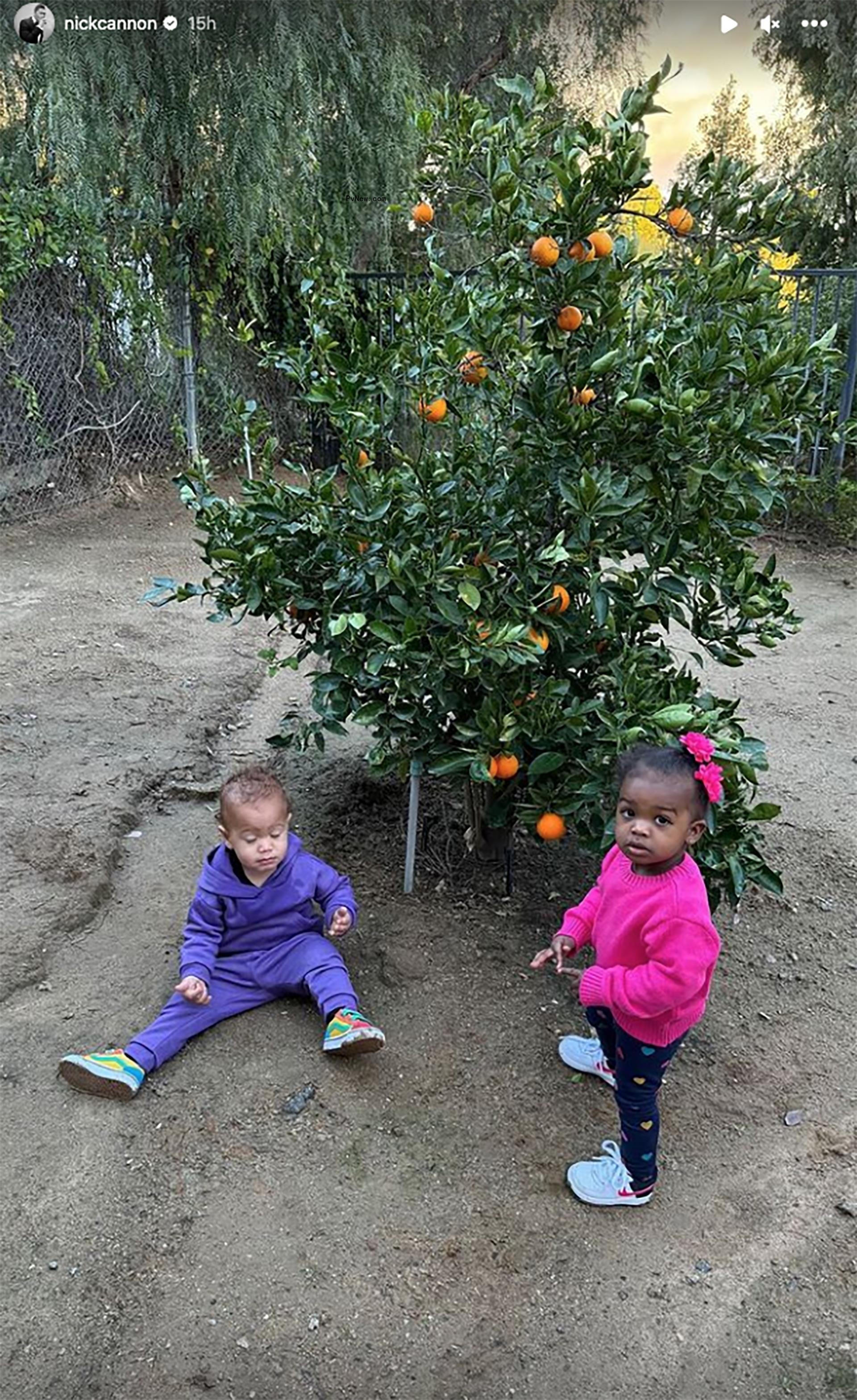 Two of Nick Cannon's children together under an orange tree