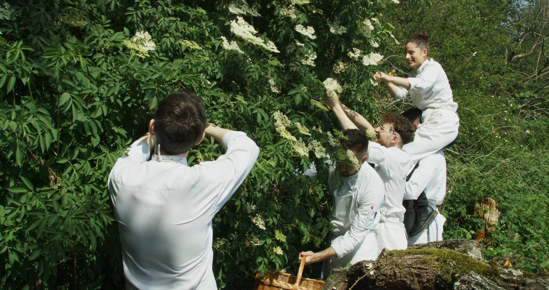 How Frederick Wiseman Fulfilled a Lifelong Fantasy Making His Four-Hour French Restaurant Doc ‘Menus-Plaisirs – Les Troisgros’