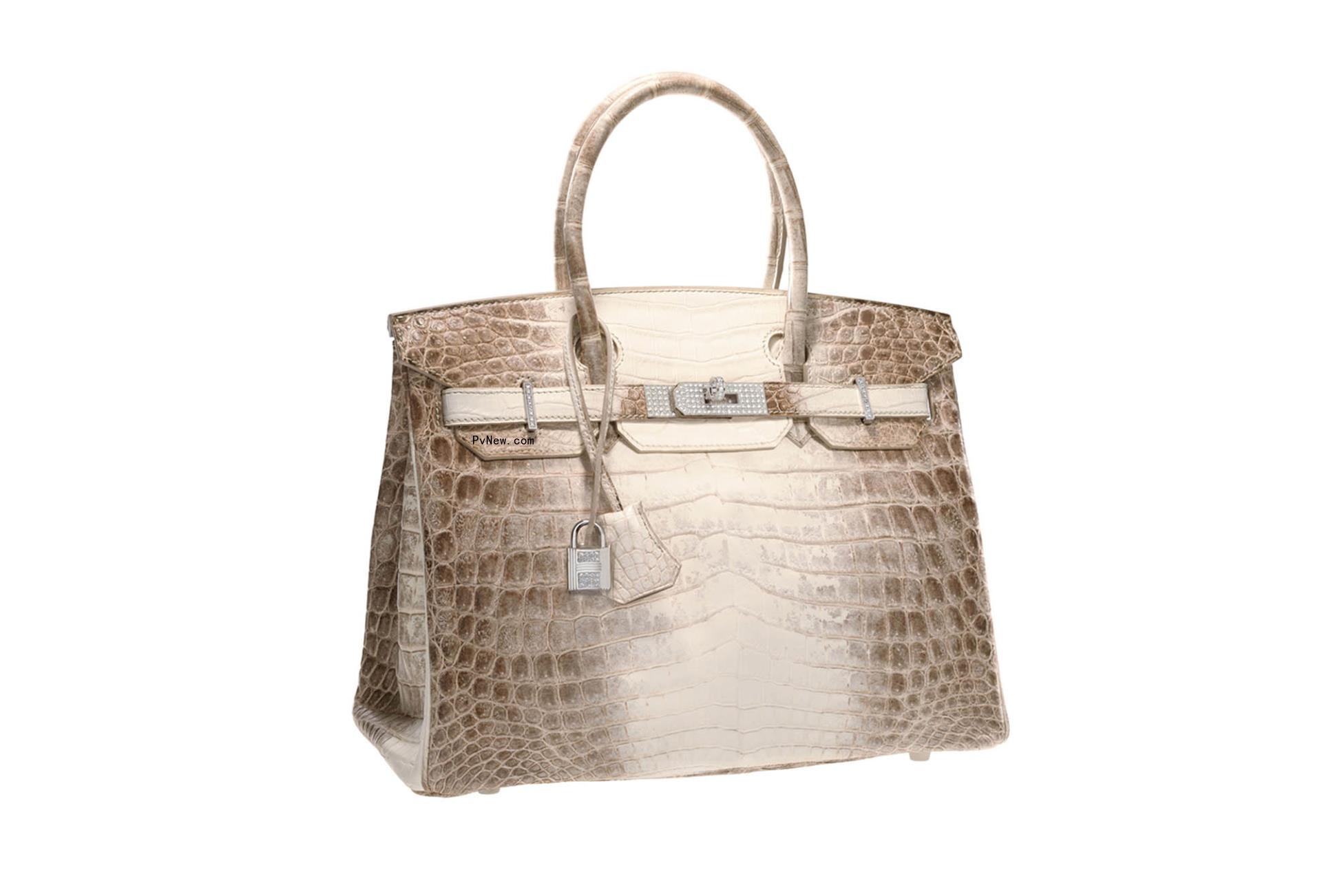rare the birkin