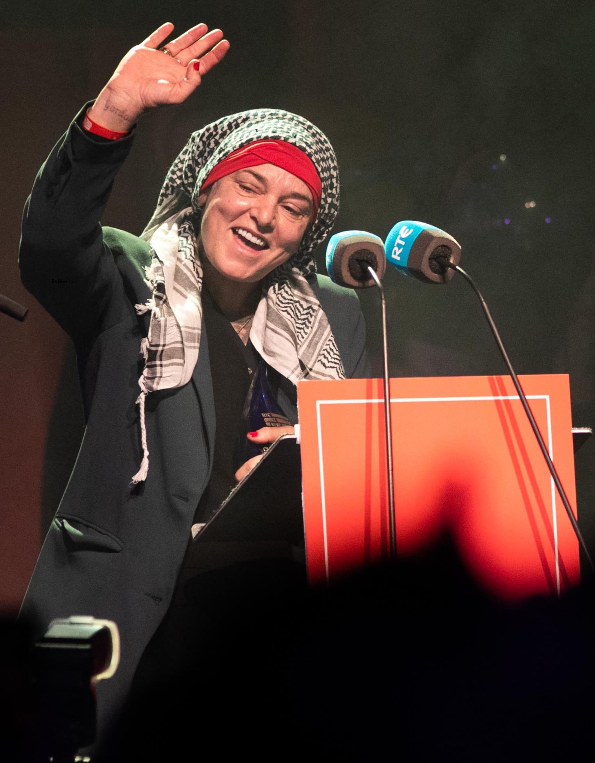 Sinéad O'Co<i></i>nnor at RTÉ Choice Music Prize
