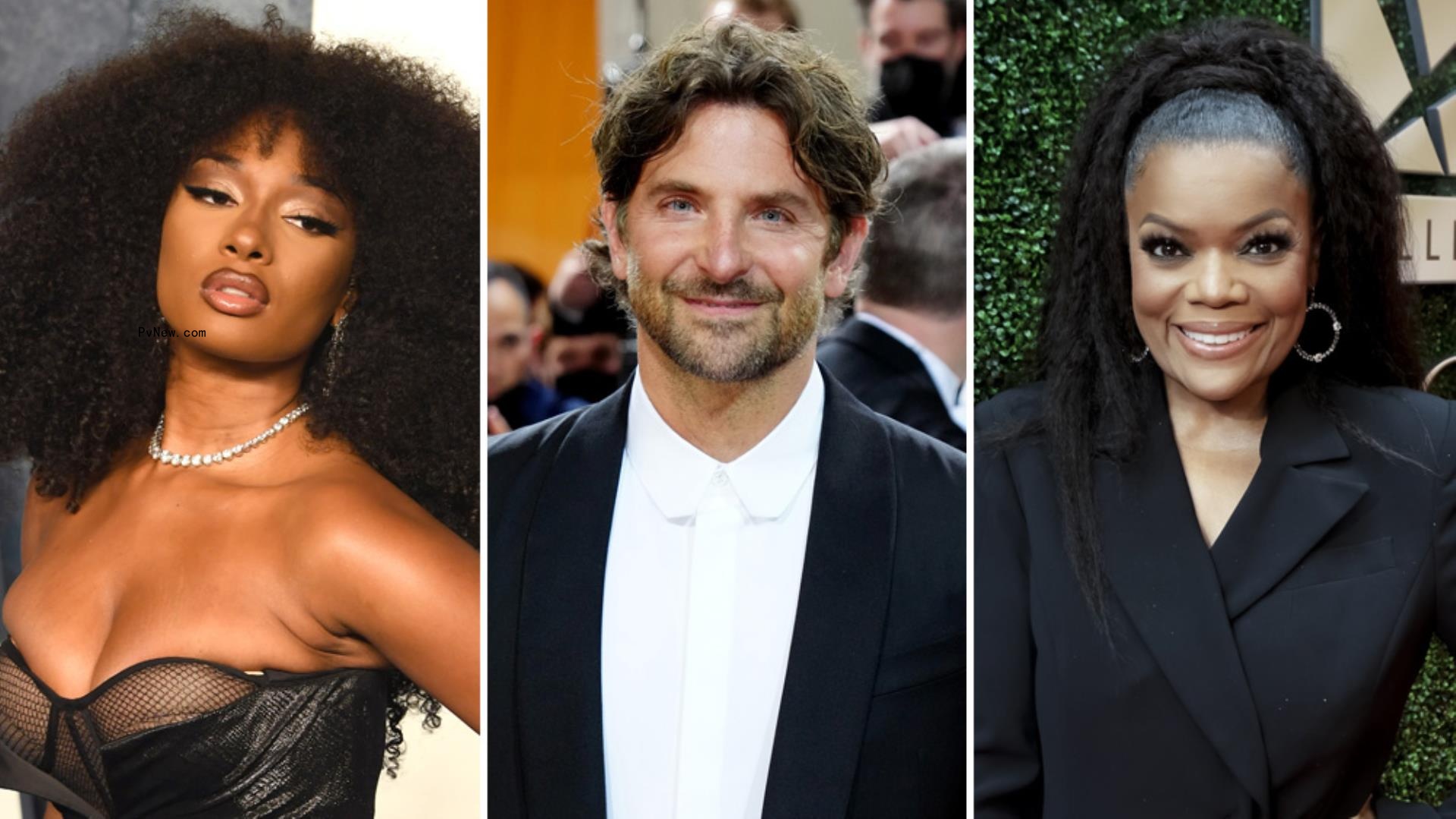 Megan Thee Stallion, Bradley Cooper, Yvette Nicole Brown Join Creative Care Council to Elevate Caregiving Media Portrayals