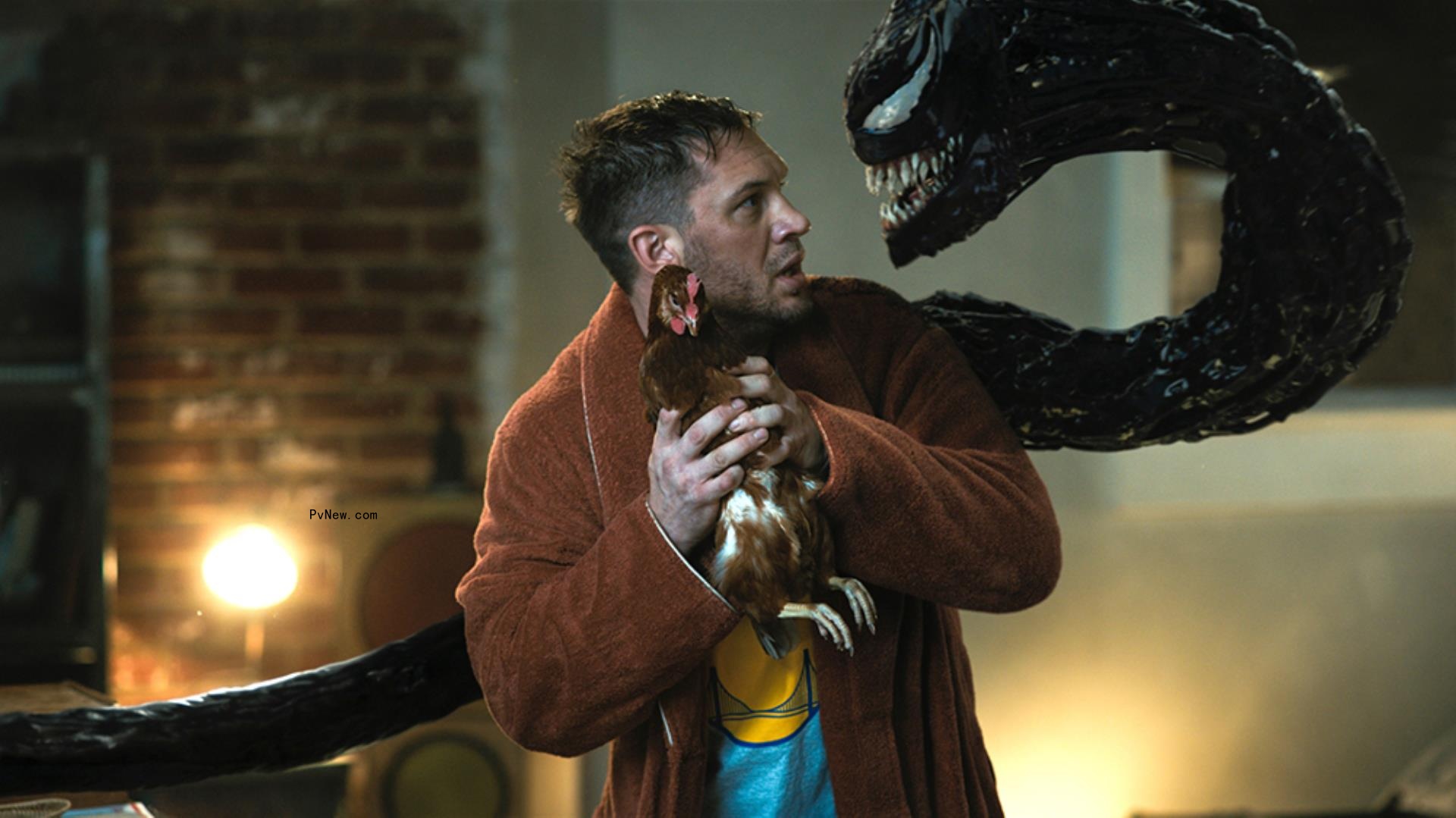 ‘Venom 3’ Resumes Production, Tom Hardy Says