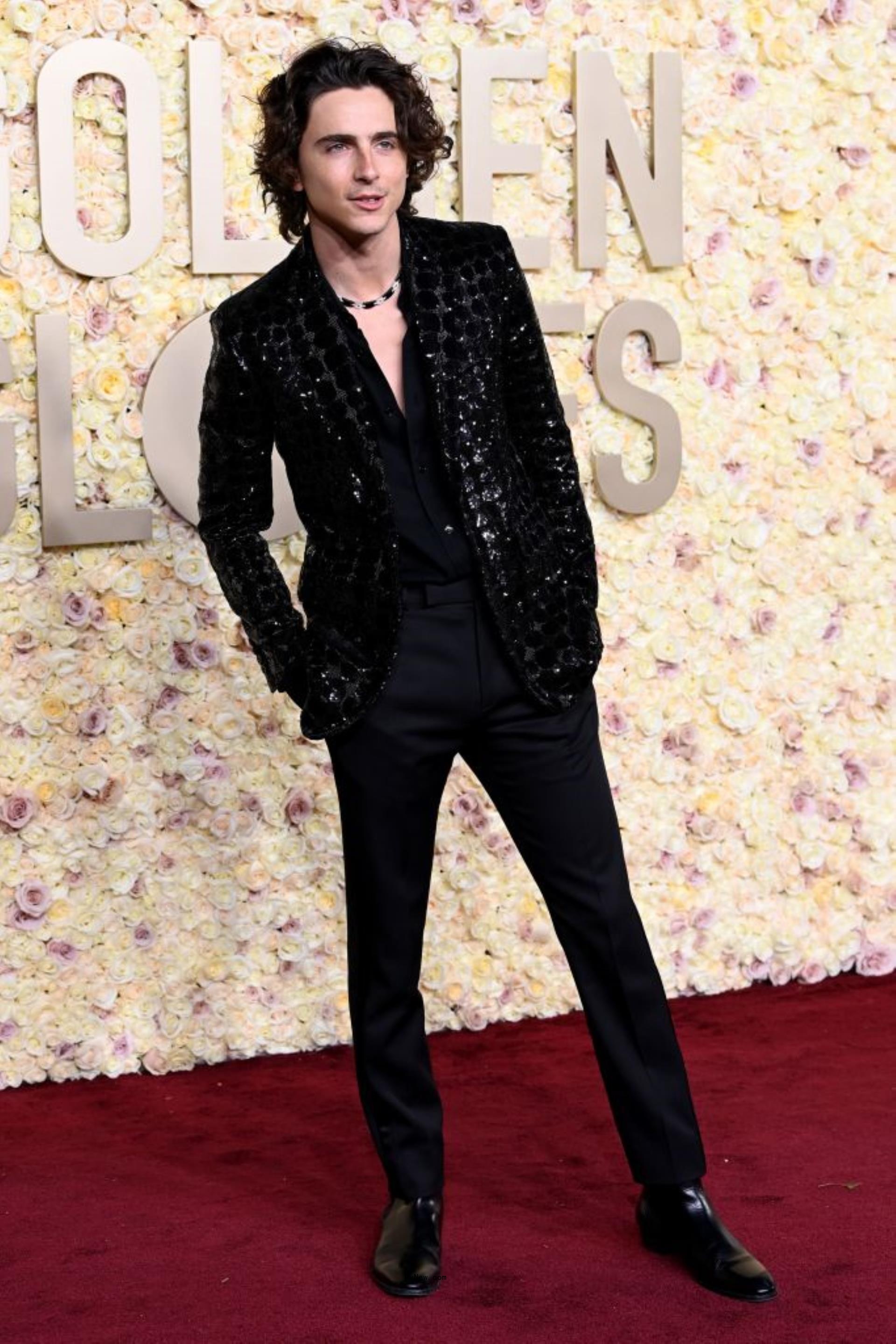 Timothee Chalamet