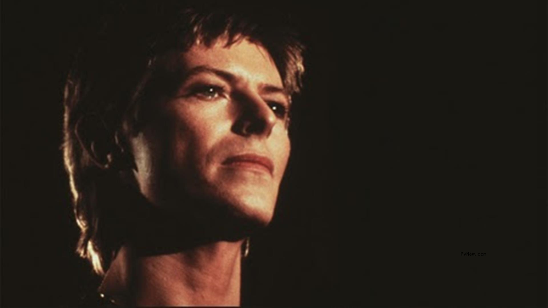 Peloton Launches David Bowie Collection, With Full Catalog, Remixes