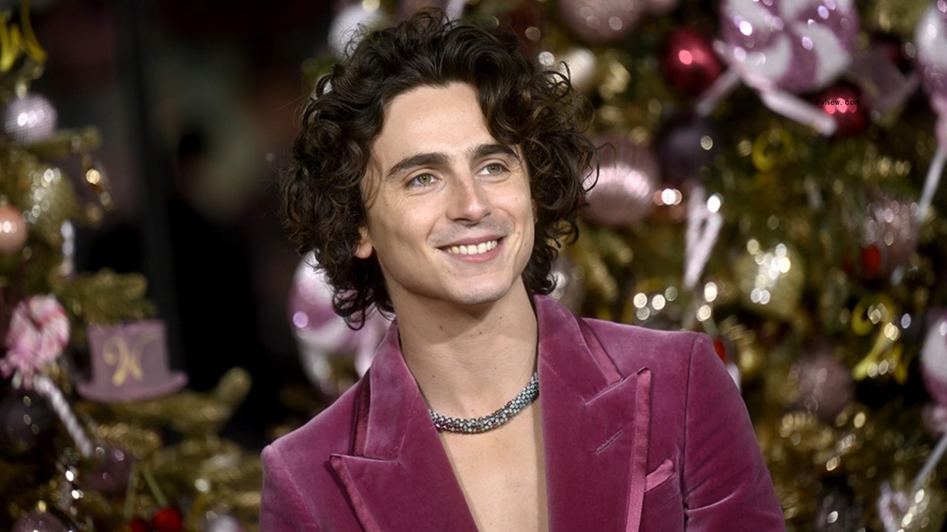 Timothée Chalamet: High School YouTube Videos ‘Sort Of’ Helped Land ‘Wonka’ Role, but ‘That Wasn’t Exclusively What Got Me the Part’
