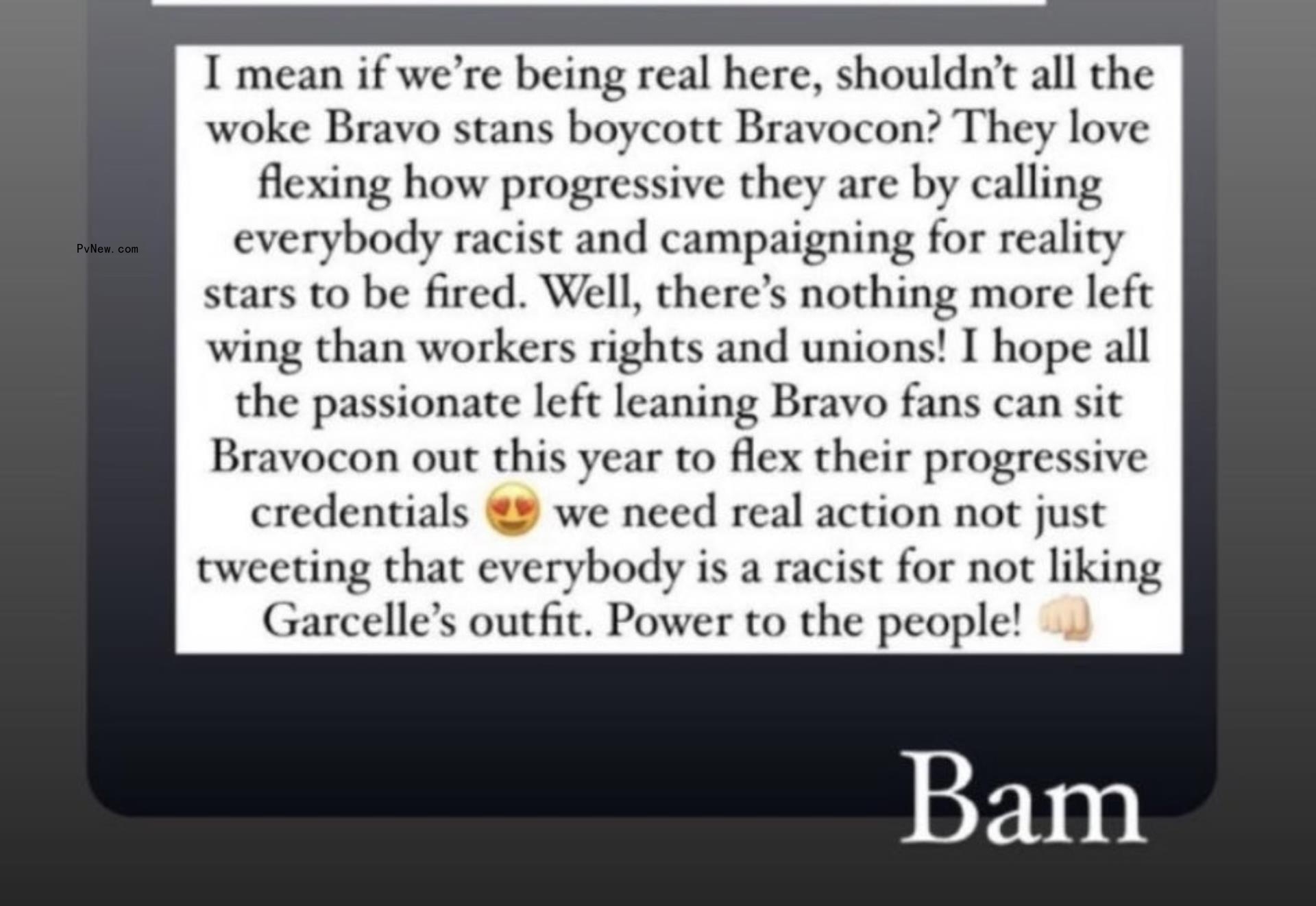 Lisa Rinna's Instagram Story post a<i></i>bout boycotting BravoCon.