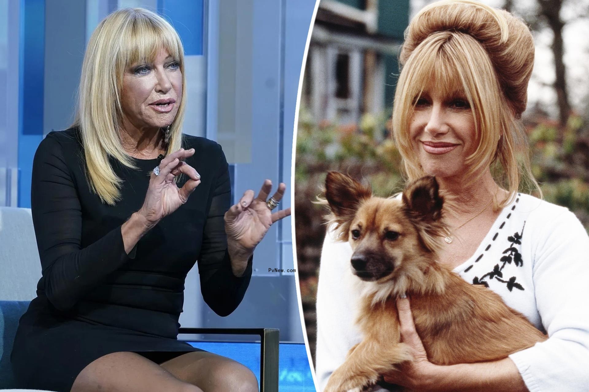 Suzanne Somers puts work on ‘back burner’ after facing cancer again