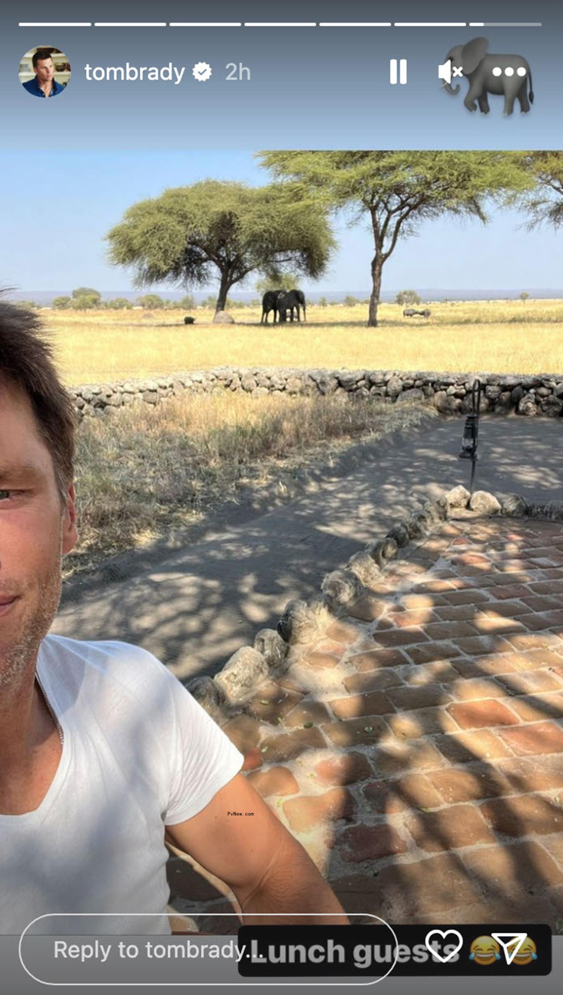 Tom Brady