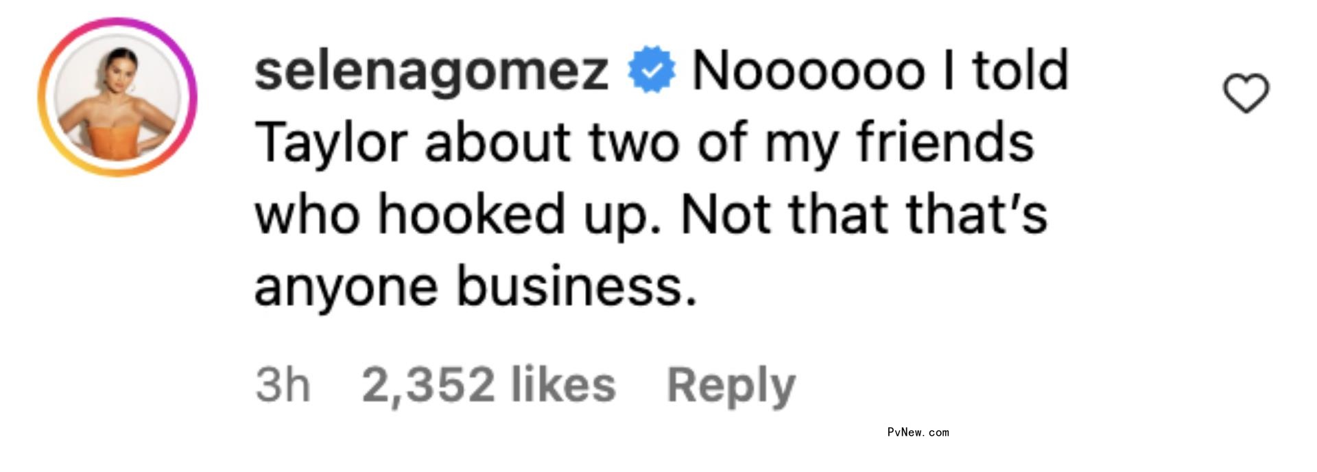 Screenshot of a Selena Gomez Instagram comment