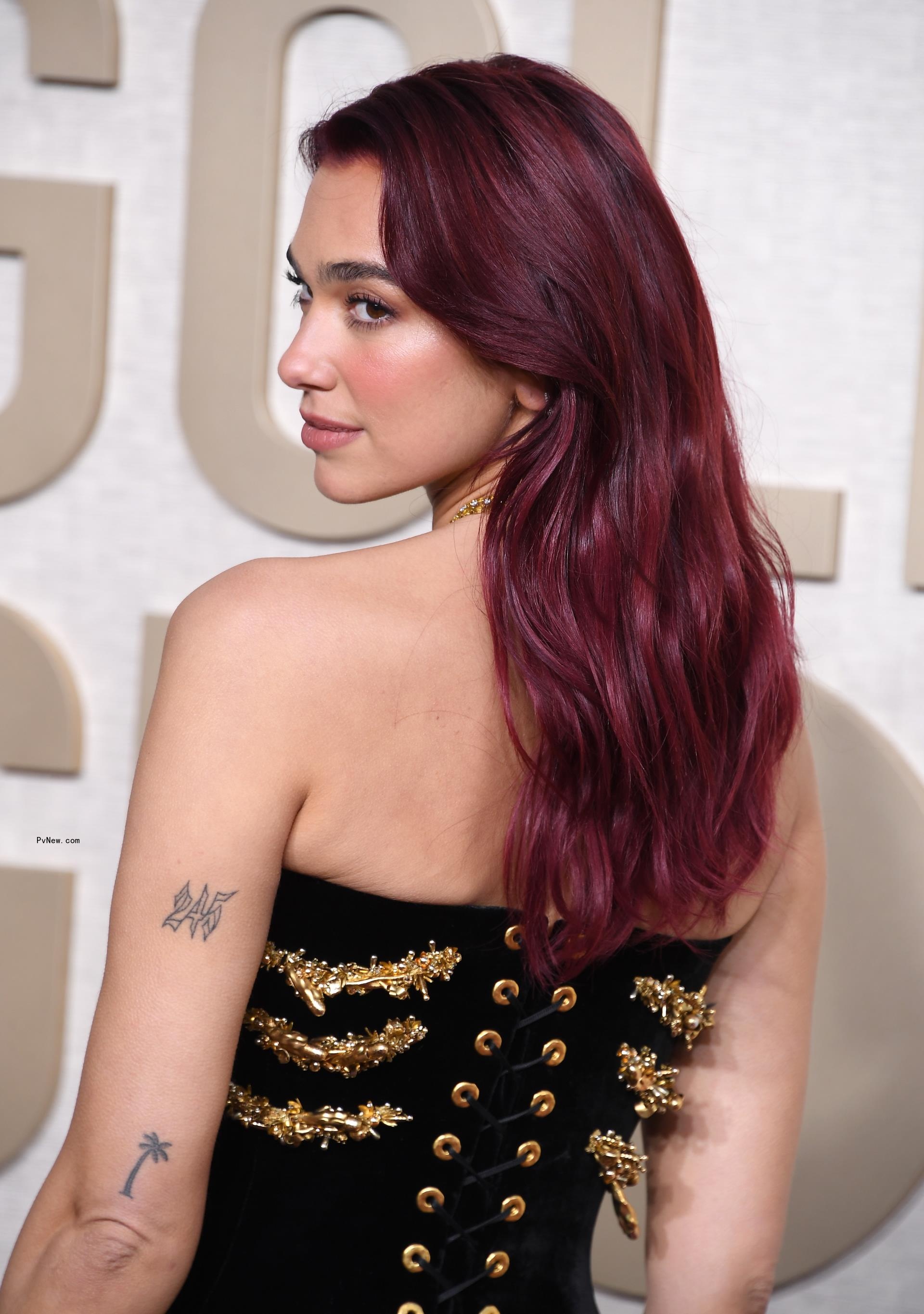 Dua Lipa's Schiaparelli dress from the Golden Globes 2024.