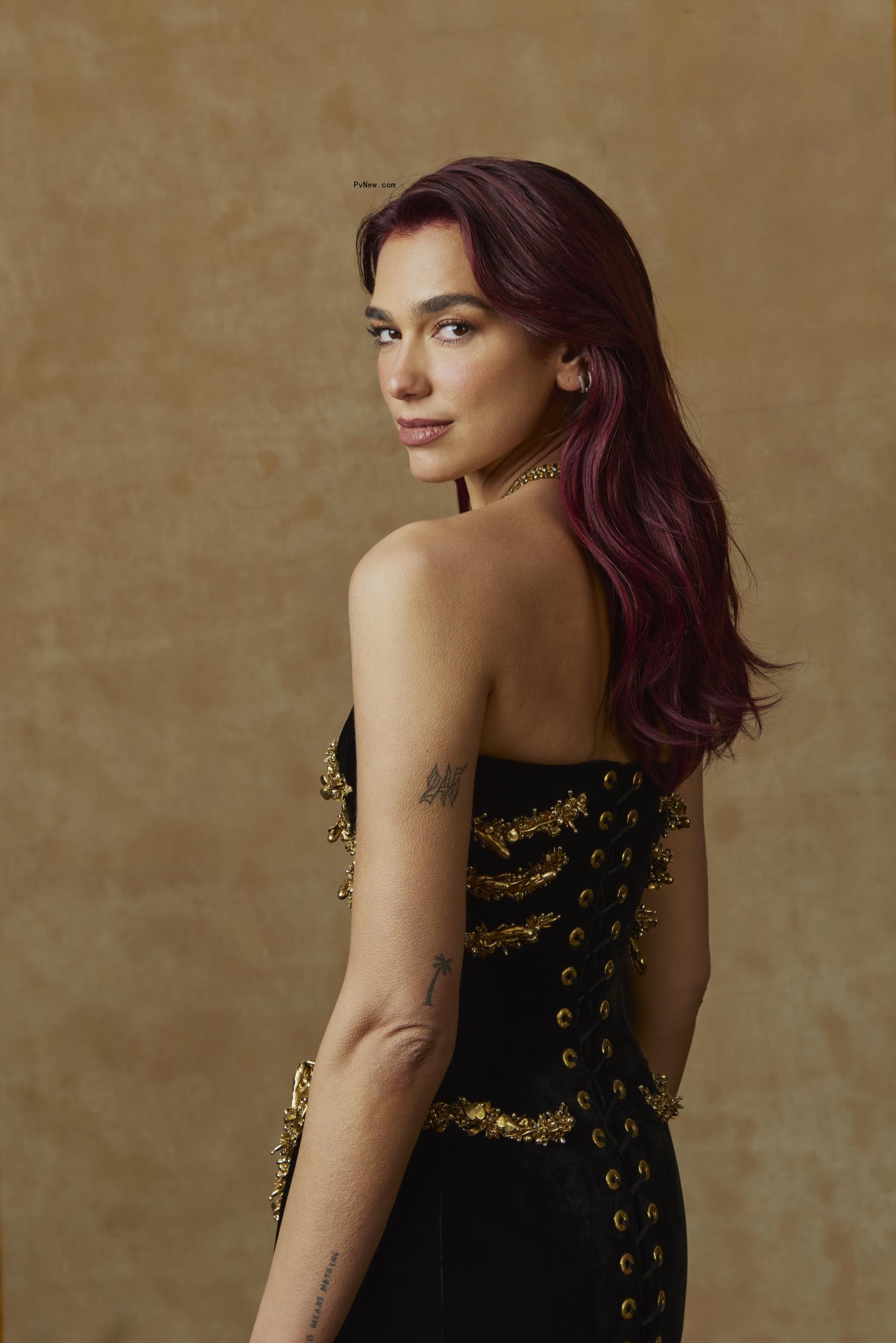 Dua Lipa's Schiaparelli dress from the Golden Globes 2024.