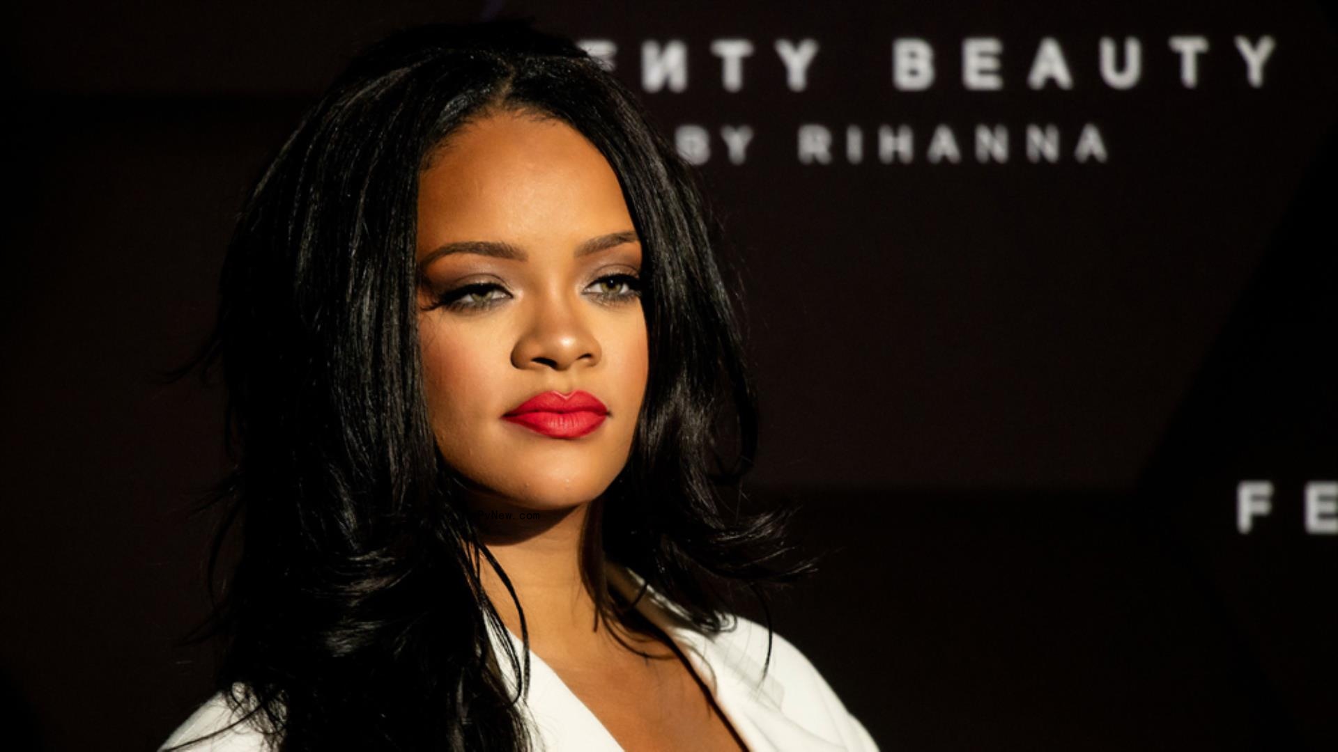 Rihanna Do<i></i>nates $15 Million to Climate Justice Organizations